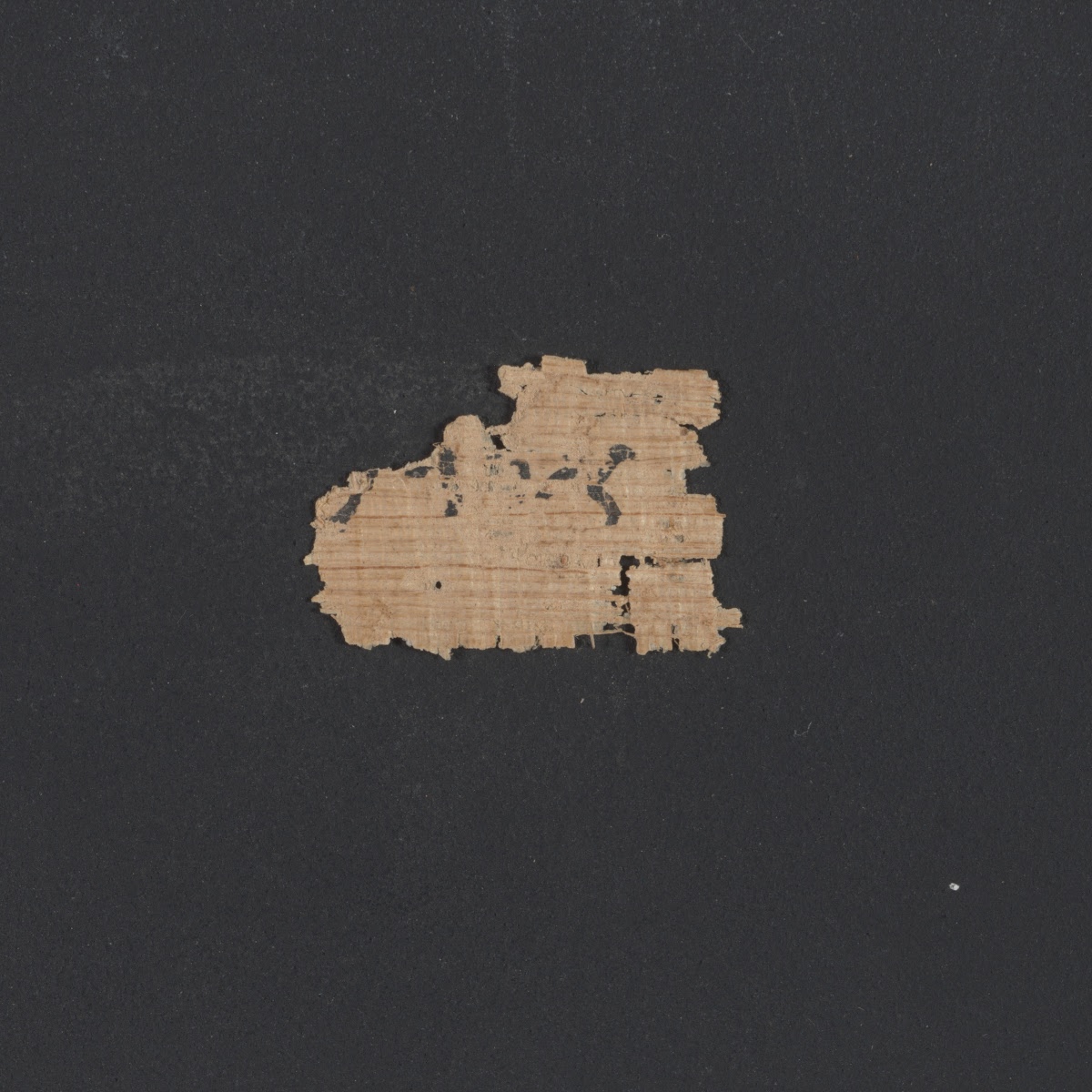 6QpapKgs (Papyrus Kings) (Scan 1) showing 1 Kings (3 Kingdoms) 12:31 from Mid-2nd Century BC - Early 1st Century BC found in Qumran, Cave 6, currently housed at Shrine of the Book, Israel Museum, Jerusalem