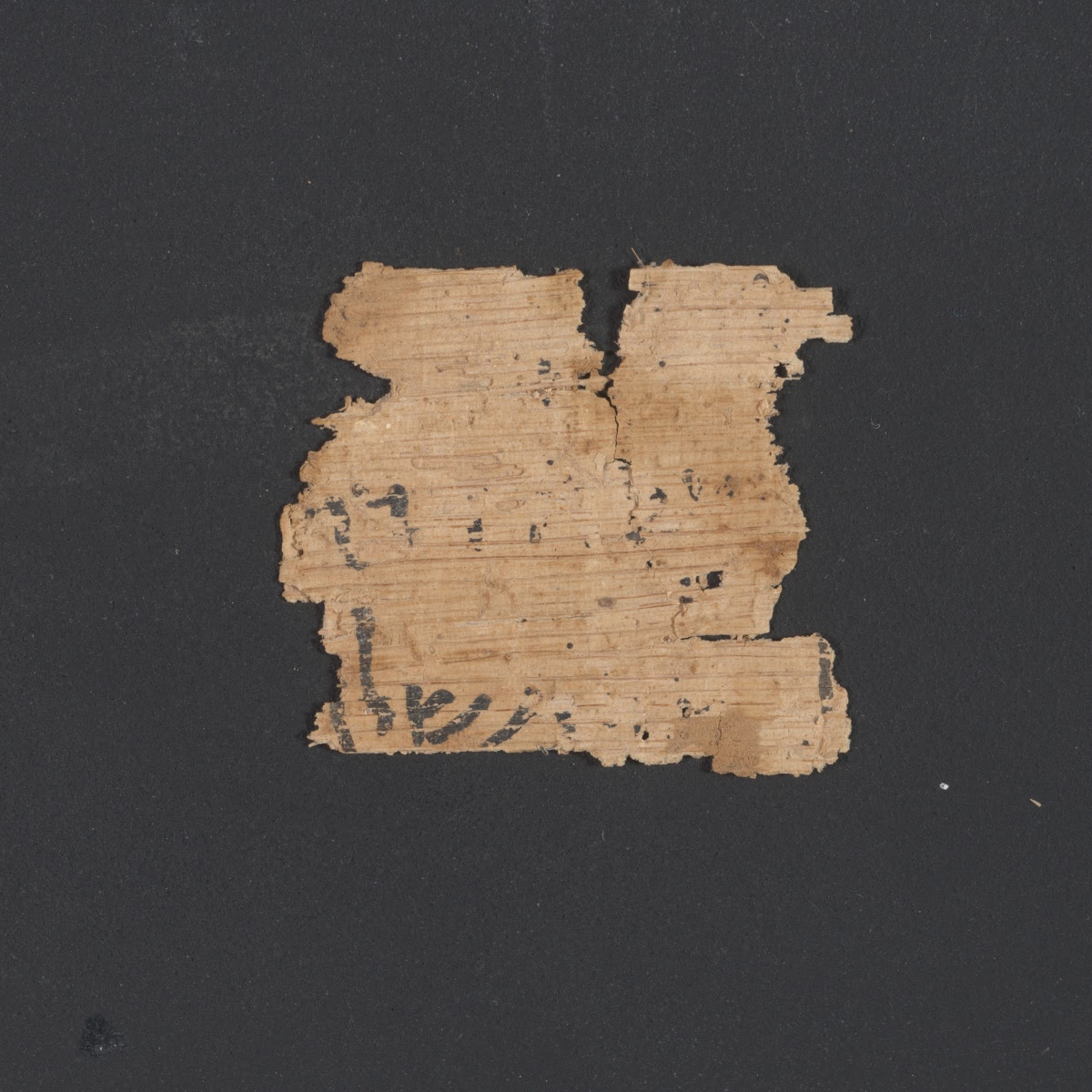 6QpapKgs (Papyrus Kings) (Scan 1) showing 2 Kings (4 Kingdoms) 8:2 from Mid-2nd Century BC - Early 1st Century BC found in Qumran, Cave 6, currently housed at Shrine of the Book, Israel Museum, Jerusalem