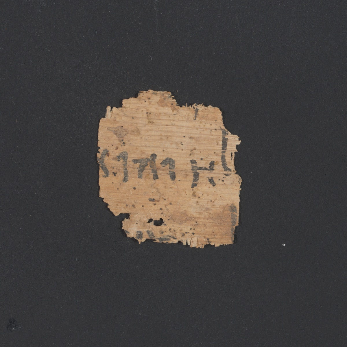 6QpapKgs (Papyrus Kings) showing 2 Kings (4 Kingdoms) 7:8 from Mid-2nd Century BC - Early 1st Century BC found in Qumran, Cave 6, currently housed at Shrine of the Book, Israel Museum, Jerusalem