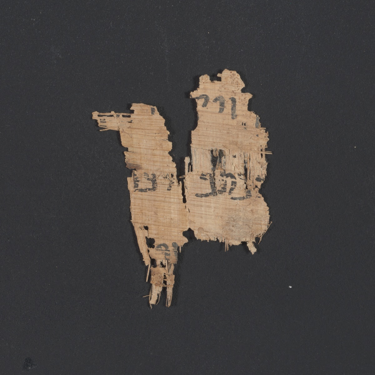 6QpapKgs (Papyrus Kings) (Scan 1) showing 1 Kings (3 Kingdoms) 22:28 from Mid-2nd Century BC - Early 1st Century BC found in Qumran, Cave 6, currently housed at Shrine of the Book, Israel Museum, Jerusalem