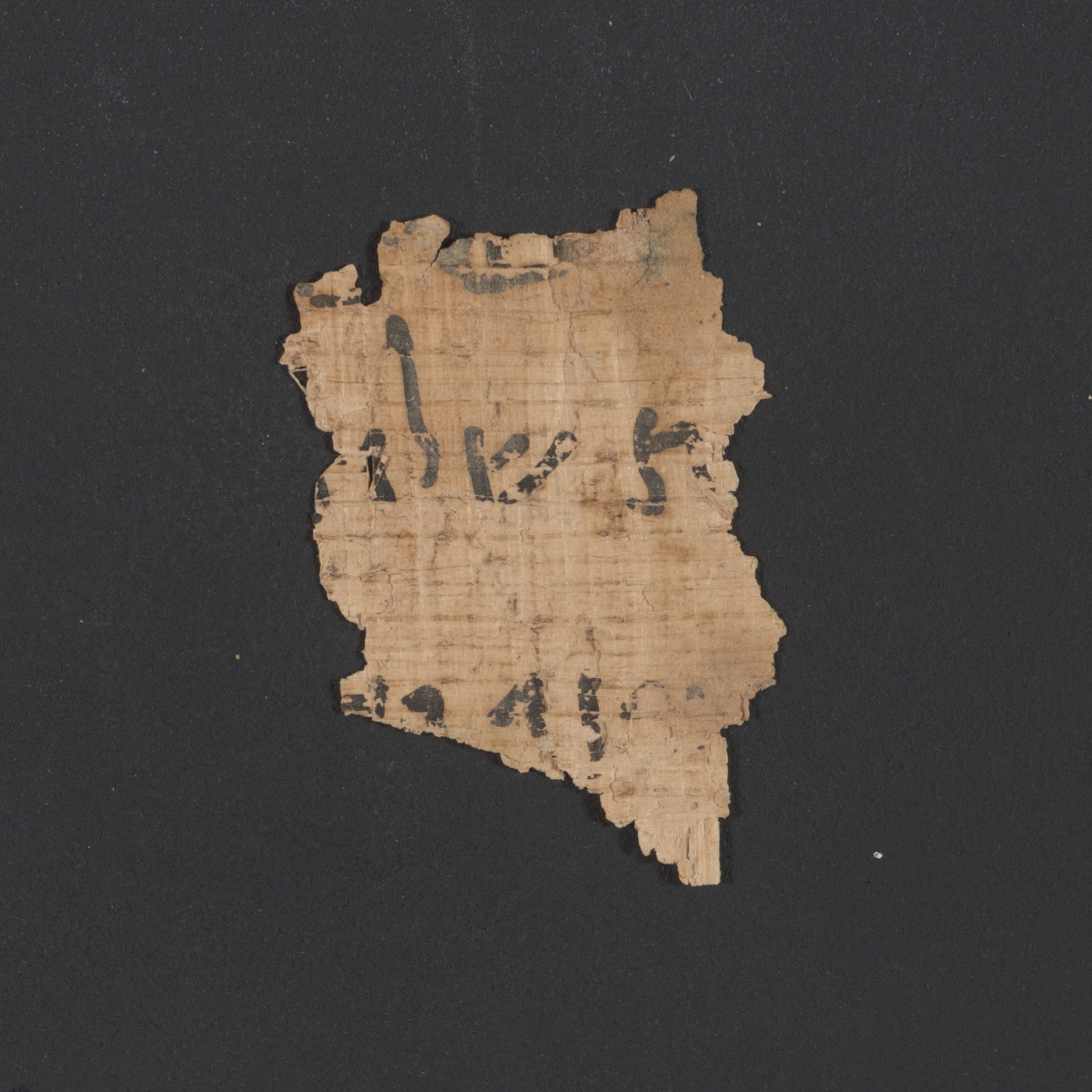 6QpapKgs (Papyrus Kings) (Scan 2) showing 2 Kings (4 Kingdoms) 8:2 from Mid-2nd Century BC - Early 1st Century BC found in Qumran, Cave 6, currently housed at Shrine of the Book, Israel Museum, Jerusalem