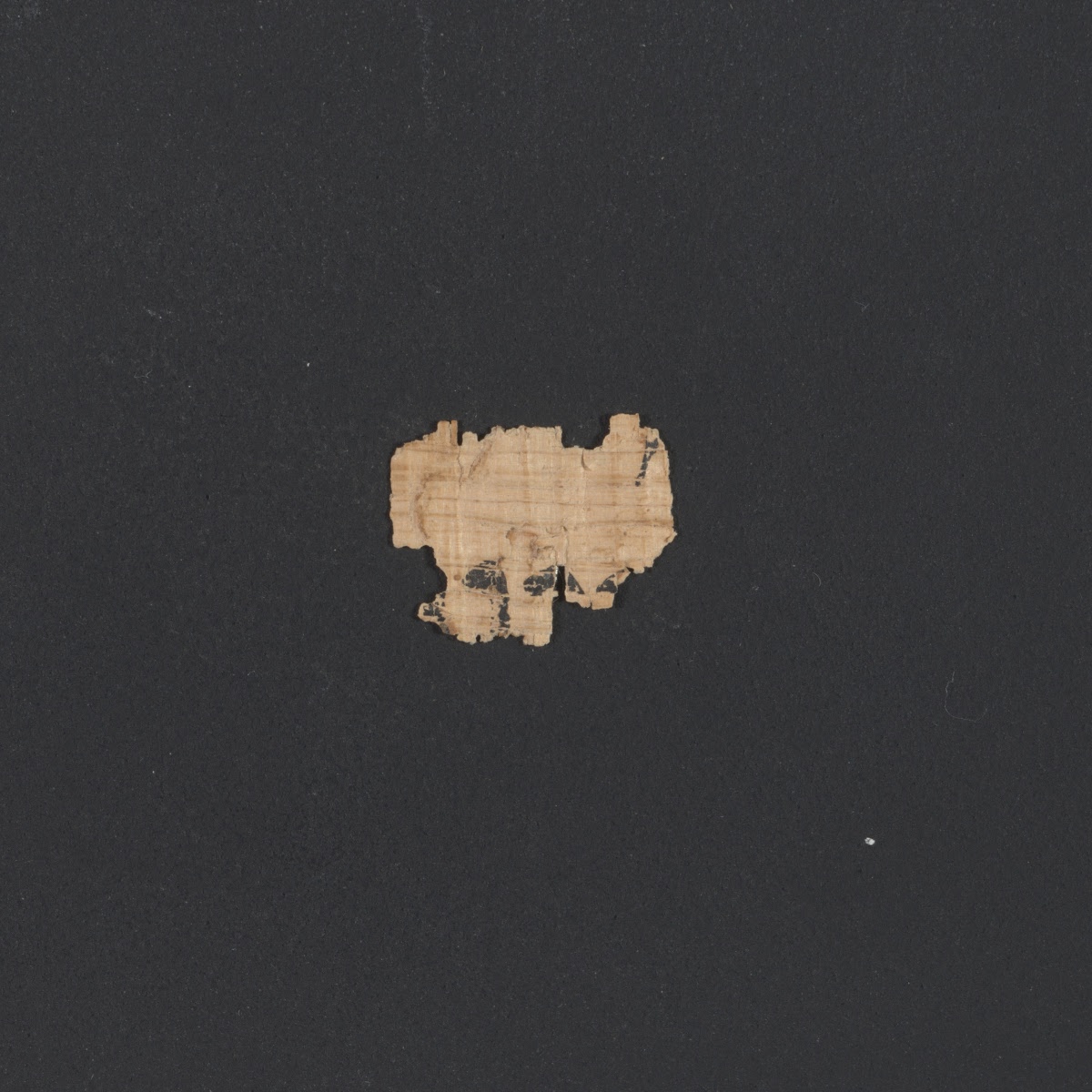 6QpapKgs (Papyrus Kings) (Scan 3) showing 2 Kings (4 Kingdoms) 8:2 from Mid-2nd Century BC - Early 1st Century BC found in Qumran, Cave 6, currently housed at Shrine of the Book, Israel Museum, Jerusalem