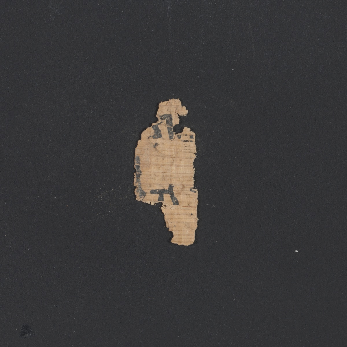 6QpapKgs (Papyrus Kings) (Scan 1) showing 2 Kings (4 Kingdoms) 5:26 from Mid-2nd Century BC - Early 1st Century BC found in Qumran, Cave 6, currently housed at Shrine of the Book, Israel Museum, Jerusalem