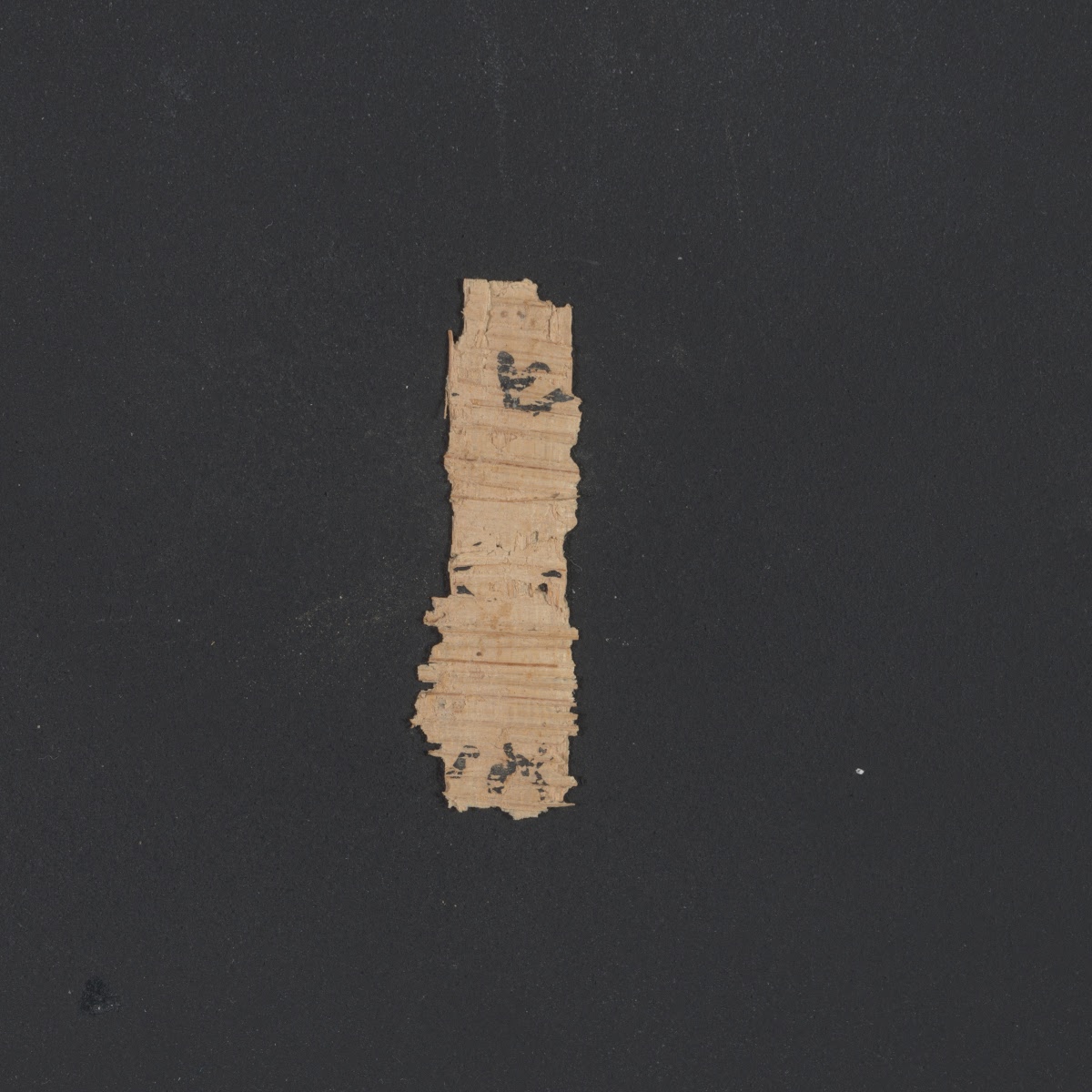 6QpapKgs (Papyrus Kings) (Scan 4) showing 1 Kings (3 Kingdoms) 12:31 from Mid-2nd Century BC - Early 1st Century BC found in Qumran, Cave 6, currently housed at Shrine of the Book, Israel Museum, Jerusalem