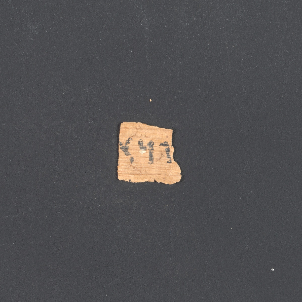 6QpapKgs (Papyrus Kings) (Scan 2) showing 1 Kings (3 Kingdoms) 22:28 from Mid-2nd Century BC - Early 1st Century BC found in Qumran, Cave 6, currently housed at Shrine of the Book, Israel Museum, Jerusalem