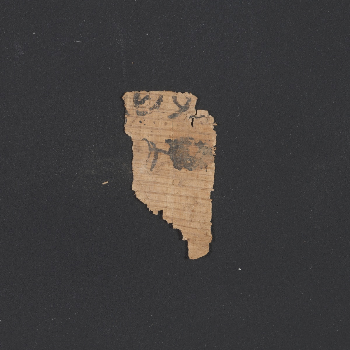 6QpapKgs (Papyrus Kings) (Scan 3) showing 1 Kings (3 Kingdoms) 22:28 from Mid-2nd Century BC - Early 1st Century BC found in Qumran, Cave 6, currently housed at Shrine of the Book, Israel Museum, Jerusalem
