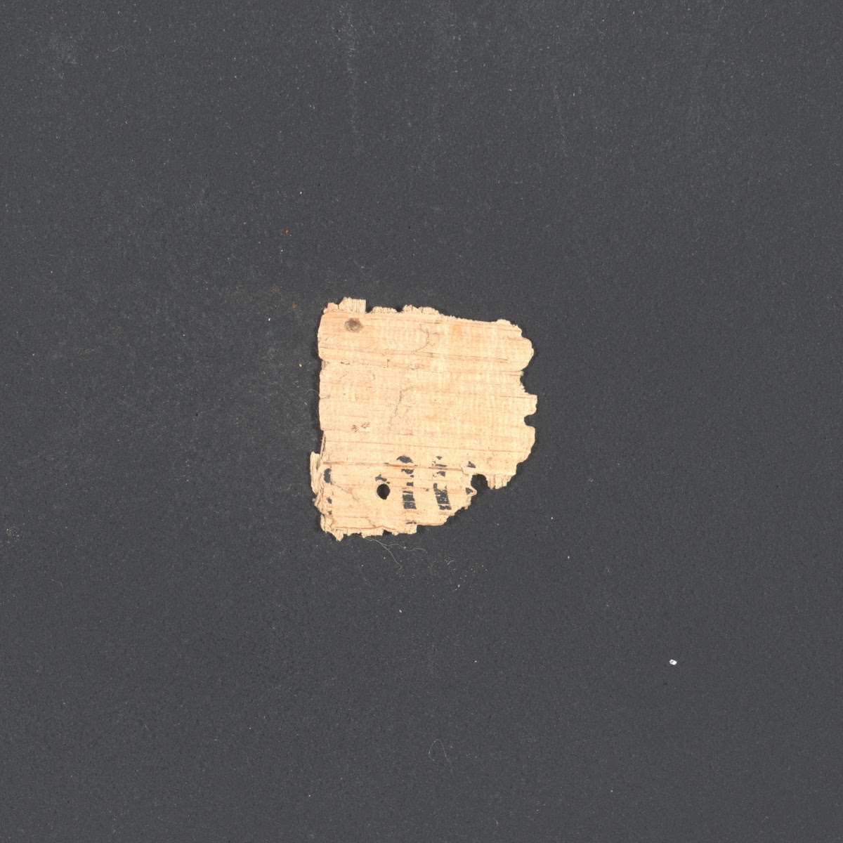 6QpapKgs (Papyrus Kings) showing 2 Kings (4 Kingdoms) 7:20 from Mid-2nd Century BC - Early 1st Century BC found in Qumran, Cave 6, currently housed at Shrine of the Book, Israel Museum, Jerusalem