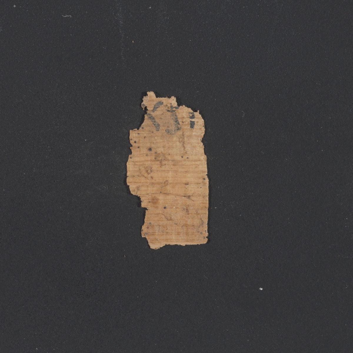 6QpapKgs (Papyrus Kings) (Scan 2) showing 2 Kings (4 Kingdoms) 5:26 from Mid-2nd Century BC - Early 1st Century BC found in Qumran, Cave 6, currently housed at Shrine of the Book, Israel Museum, Jerusalem