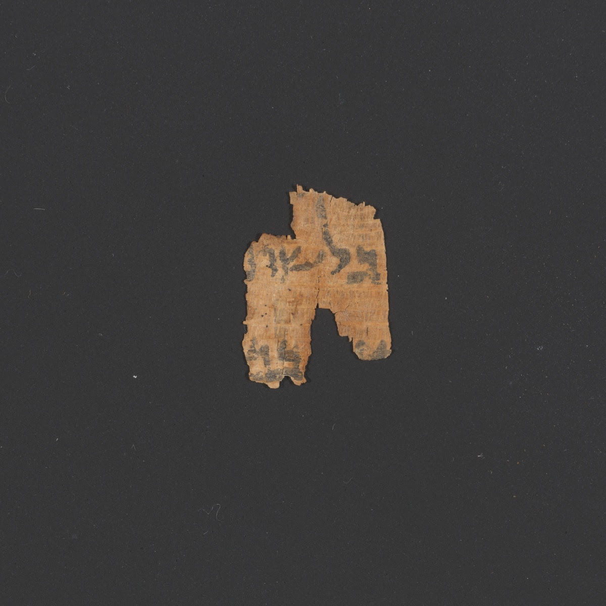 6Q5 (6QpapPs) (Scan 2) showing Psalms 77:37 from Late 1st Century BC - 1st Century AD found in Qumran, Cave 6, currently housed at Rockefeller Museum, Jerusalem