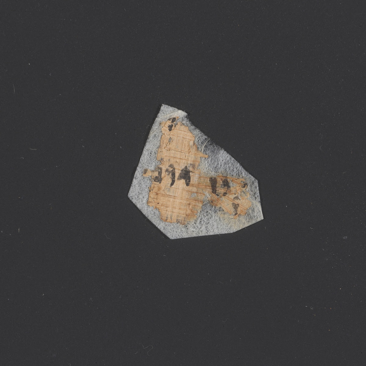 6QpapDan (Scan 1) showing Daniel 11:38 from Mid-1st Century AD found in Qumran, Cave 6, currently housed at Rockefeller Museum, Jerusalem
