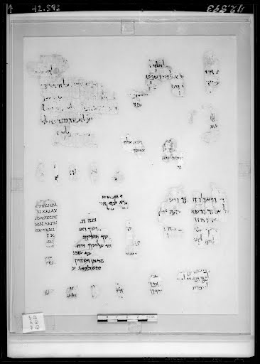 7Q papLXXExodus (Scan 2) showing Exodus 28:5 from Late 2nd Century BC - Early 1st Century BC found in Qumran, Cave 7, currently housed at Israel Museum, Jerusalem
