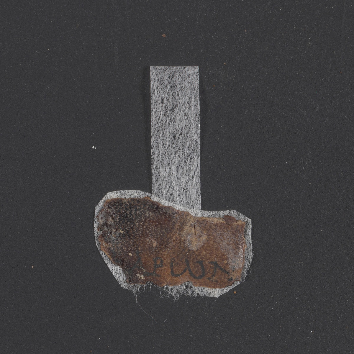 4Q LXXNumbers showing Numbers 4:15 from Late 1st Century BC - Mid-1st Century AD found in Qumran, Cave 4, currently housed at Rockefeller Museum, Jerusalem