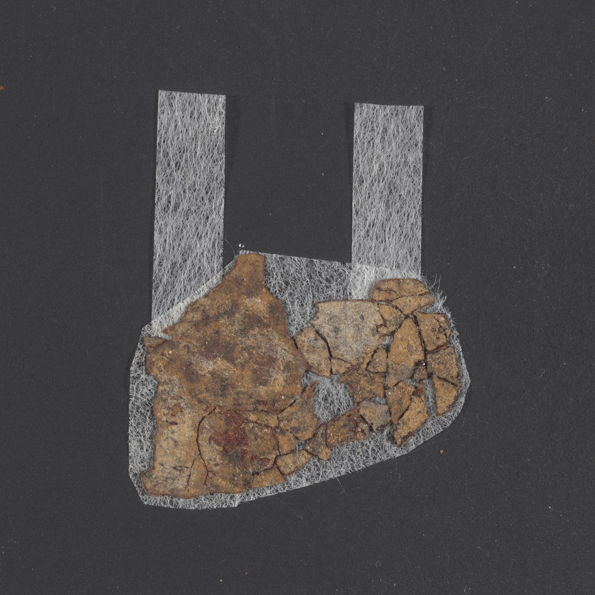4Q LXXNumbers (Scan 1) showing Numbers 4:12 from Late 1st Century BC - Mid-1st Century AD found in Qumran, Cave 4, currently housed at Rockefeller Museum, Jerusalem