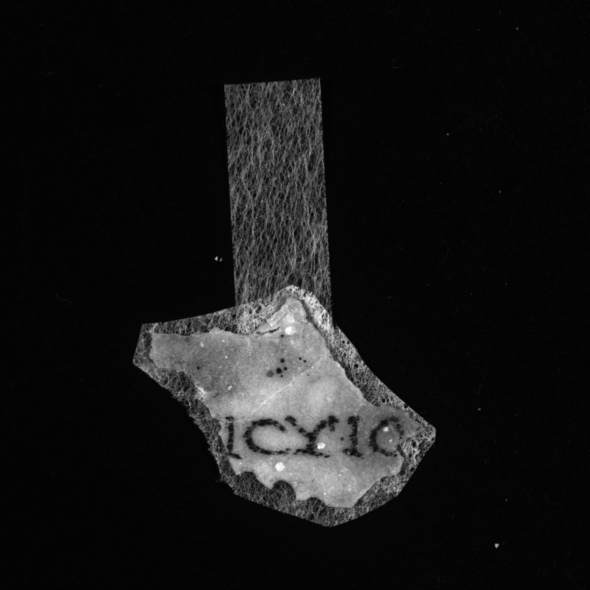 4Q LXXNumbers (Scan 2) showing Numbers 3:39 from Late 1st Century BC - Mid-1st Century AD found in Qumran, Cave 4, currently housed at Rockefeller Museum, Jerusalem