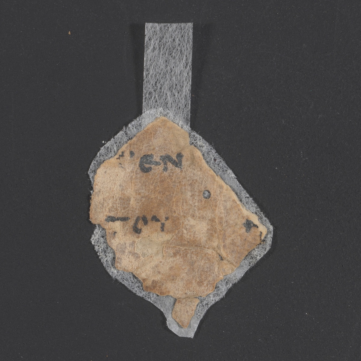 4Q122 (4QLXXDeut / Rahlfs 819) (Scan 3) showing Deuteronomy 11:4 from Early to Mid-2nd Century BC found in Qumran, Cave 4, currently housed at Rockefeller Museum, Jerusalem