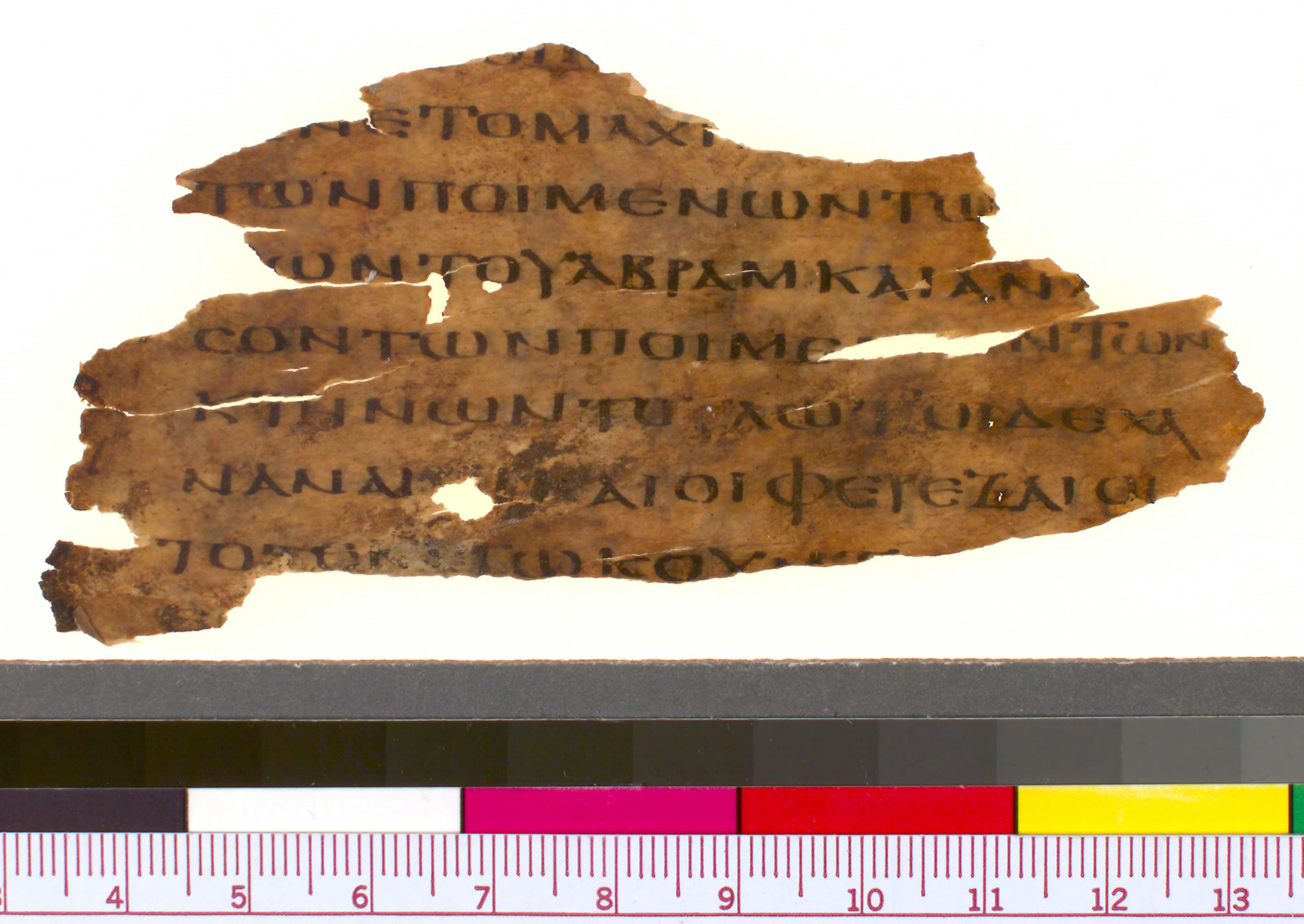 P. Mich. Inv. 2724 (Rahlfs 832) showing Genesis 13:8 from 4th Century AD found in Egypt, currently housed at University of Michigan Library, Ann Arbor