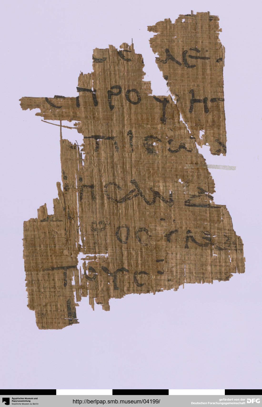 Papyrus 17212 showing Jeremiah 2:3 from 3rd Century AD, currently housed at Ägyptisches Museum, Berlin