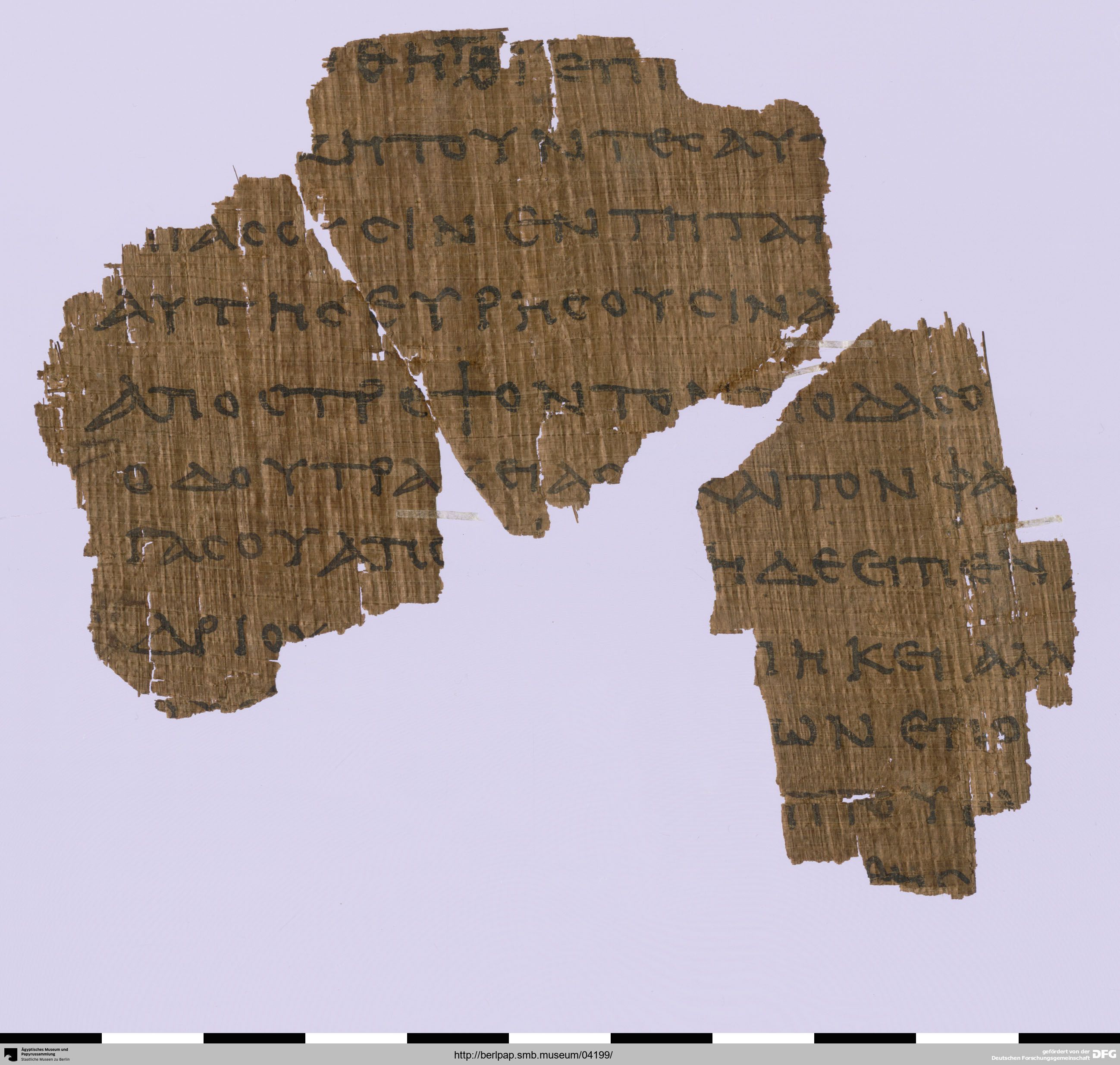 Papyrus 17212 showing Jeremiah 2:16 from 3rd Century AD, currently housed at Ägyptisches Museum, Berlin