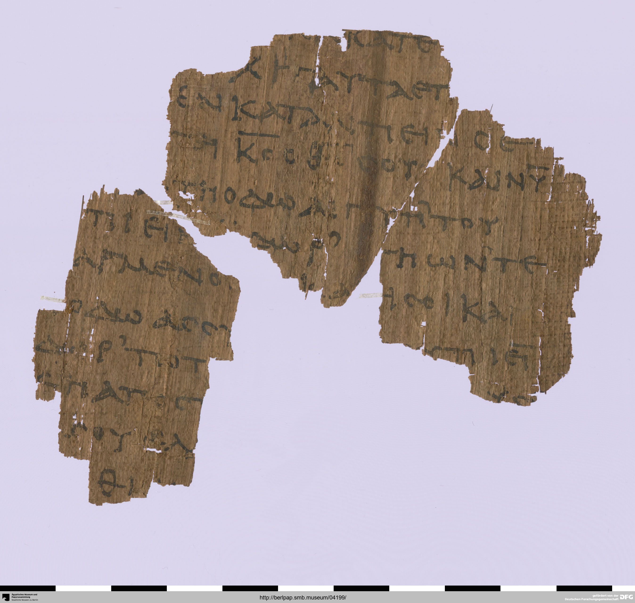 Papyrus 17212 showing Jeremiah 2:24 from 3rd Century AD, currently housed at Ägyptisches Museum, Berlin