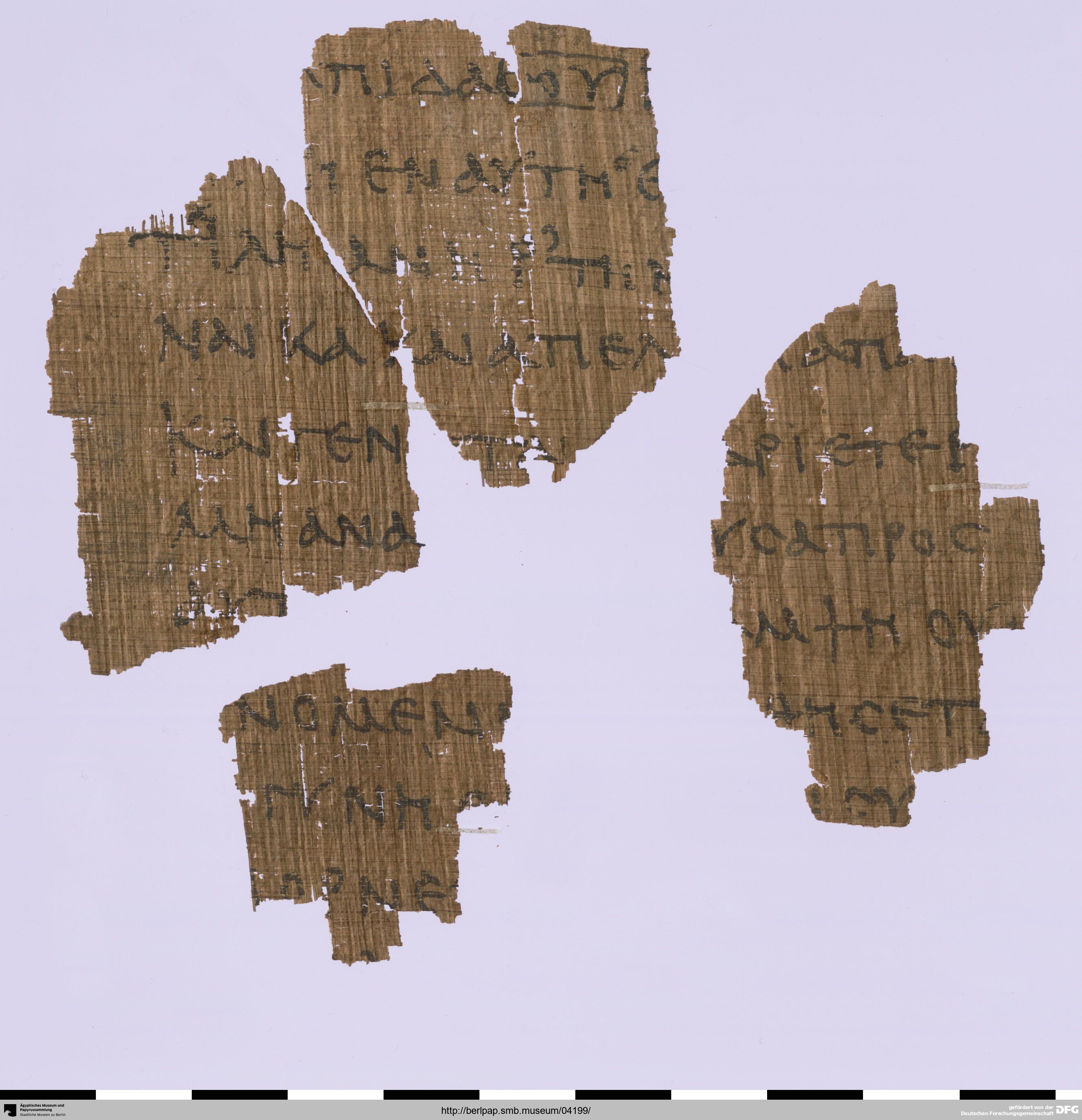 Papyrus 17212 showing Jeremiah 2:32 from 3rd Century AD, currently housed at Ägyptisches Museum, Berlin