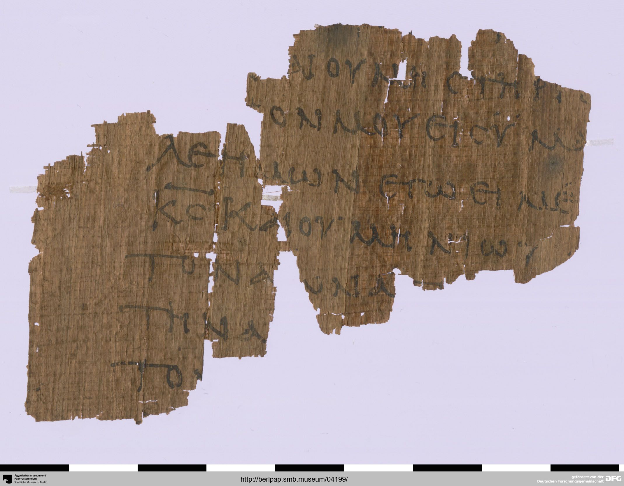 Papyrus 17212 showing Jeremiah 3:13 from 3rd Century AD, currently housed at Ägyptisches Museum, Berlin