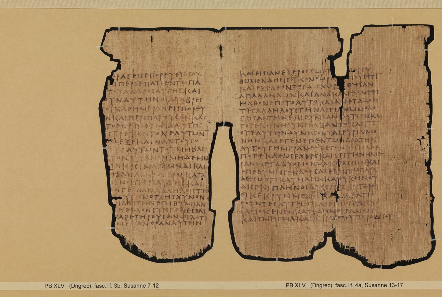 Papyrus Bodmer XLV / XLVI showing Daniel 13:7 from 3rd - 4th Century AD, currently housed at Fondation Bodmer, Cologny
