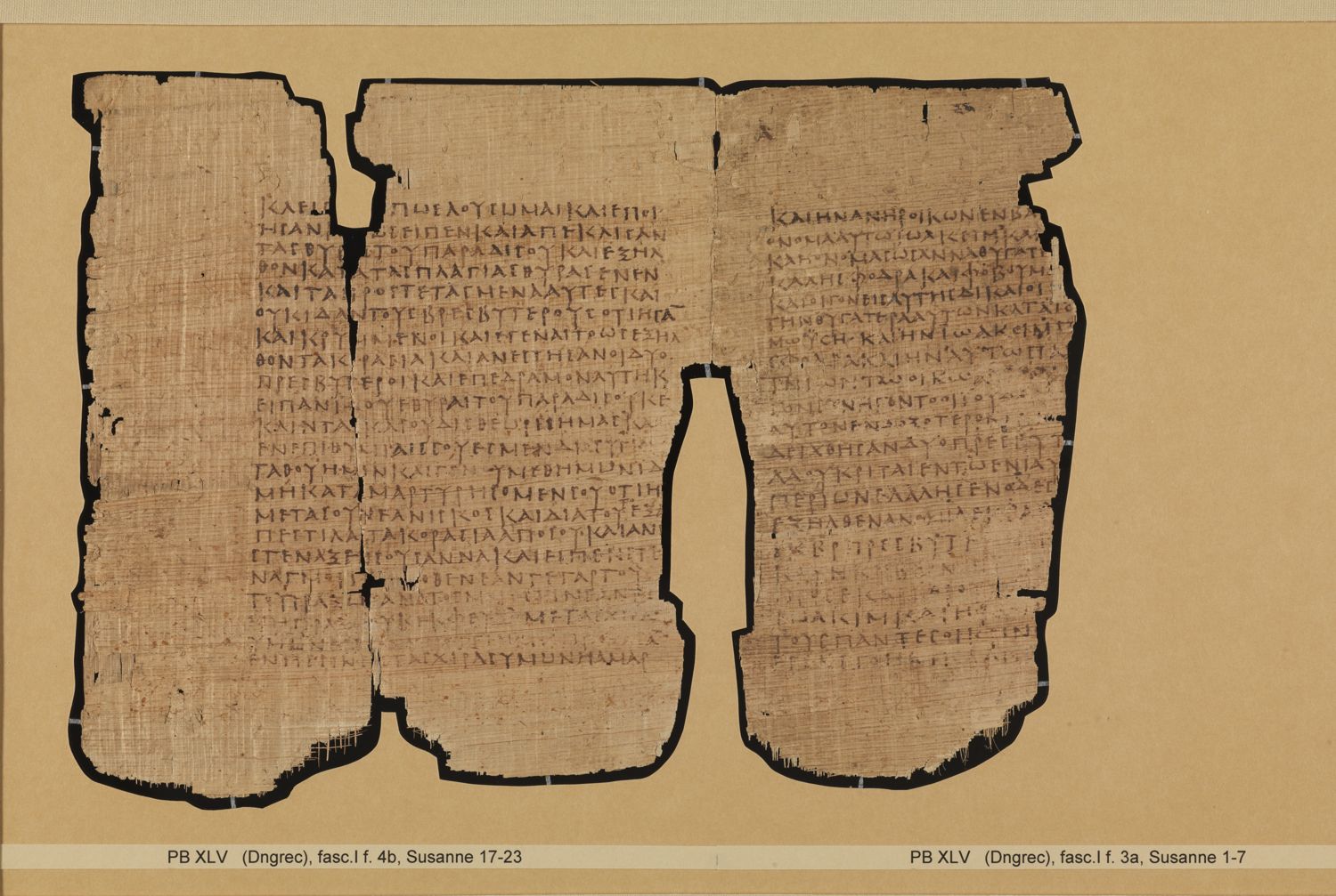 Papyrus Bodmer XLV / XLVI showing Daniel 13:16 from 3rd - 4th Century AD, currently housed at Fondation Bodmer, Cologny