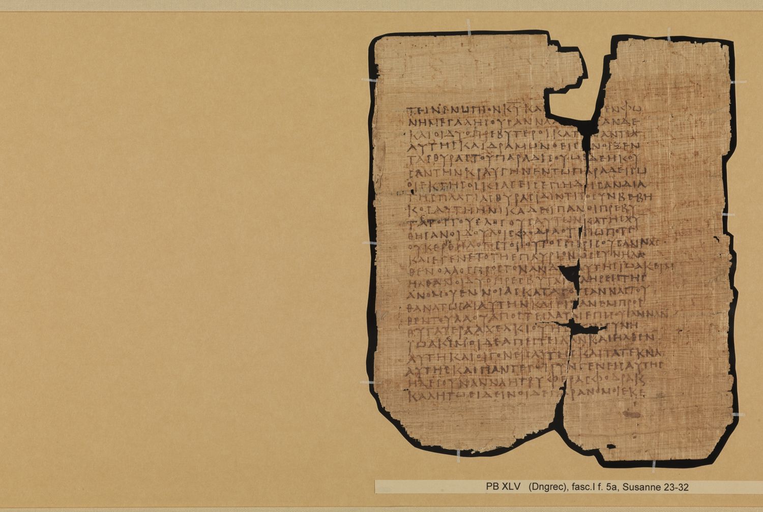 Papyrus Bodmer XLV / XLVI showing Daniel 13:19 from 3rd - 4th Century AD, currently housed at Fondation Bodmer, Cologny