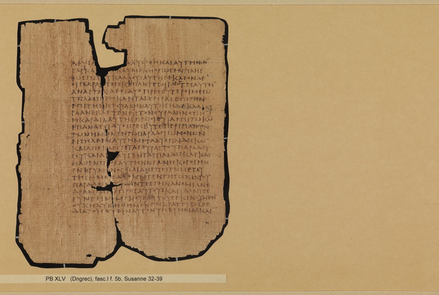 Papyrus Bodmer XLV / XLVI showing Daniel 13:30 from 3rd - 4th Century AD, currently housed at Fondation Bodmer, Cologny