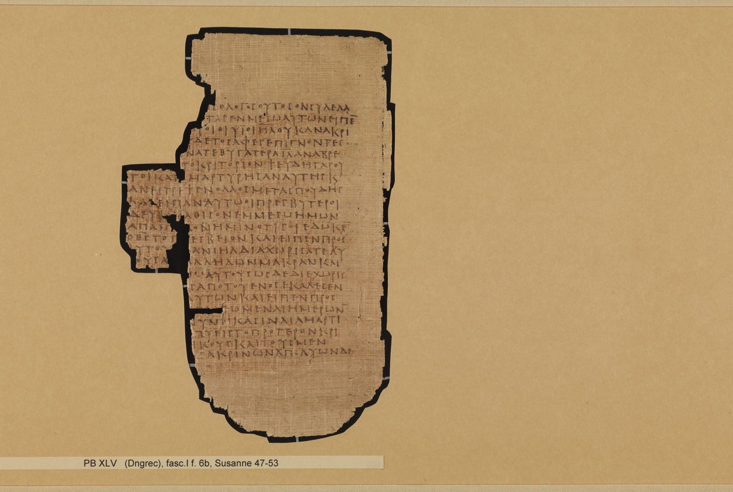 Papyrus Bodmer XLV / XLVI showing Daniel 13:39 from 3rd - 4th Century AD, currently housed at Fondation Bodmer, Cologny