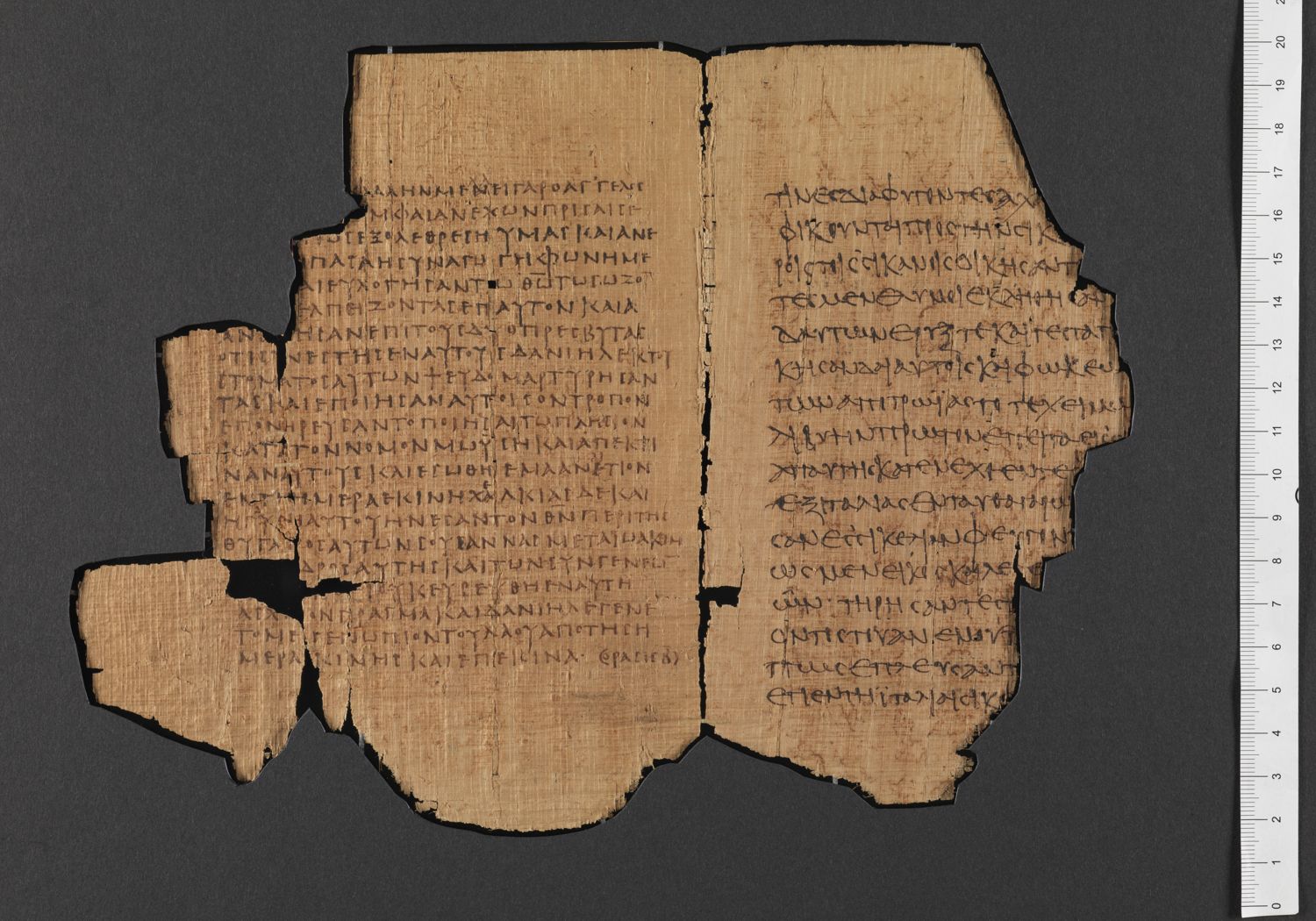 Papyrus Bodmer XLV / XLVI showing Daniel 13:49 from 3rd - 4th Century AD, currently housed at Fondation Bodmer, Cologny