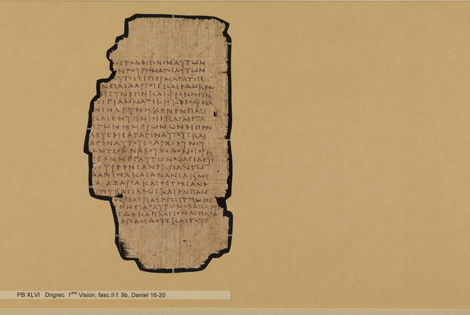 Papyrus Bodmer XLV / XLVI showing Daniel 1:8 from 3rd - 4th Century AD, currently housed at Fondation Bodmer, Cologny