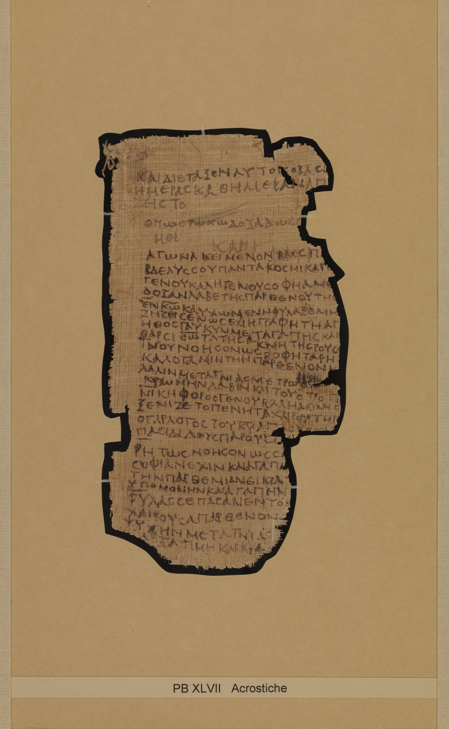Papyrus Bodmer XLV / XLVI showing Daniel 1:19 from 3rd - 4th Century AD, currently housed at Fondation Bodmer, Cologny