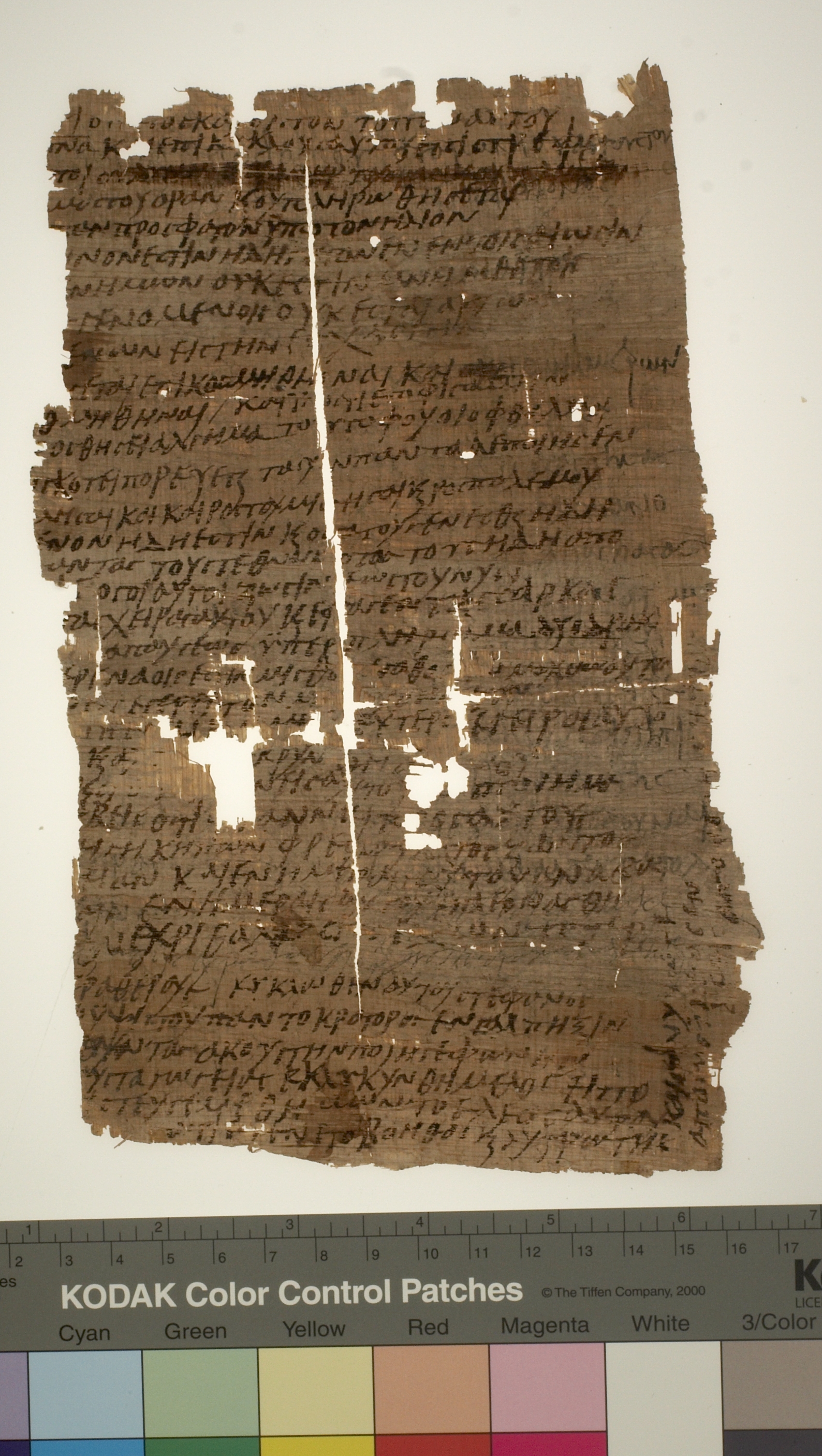 Papyrus Palau-Ribes inv. 73 showing Ecclesiastes 7:21 from 5th Century AD, currently housed at Archivo Histórico de la Compañía de Jesús, Barcelona