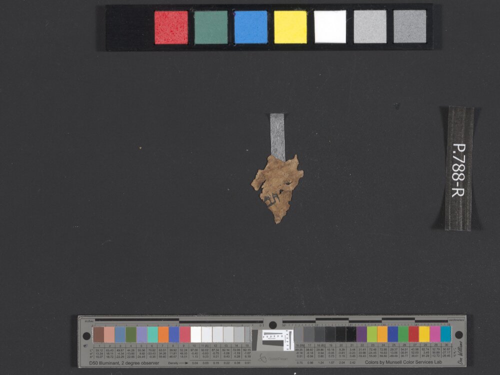 8QPs (Scan 2) showing Psalms 16:8 from Late 1st Century BC – Mid-1st Century AD found in Qumran, Cave 8, currently housed at Israel Antiquities Authority, Jerusalem