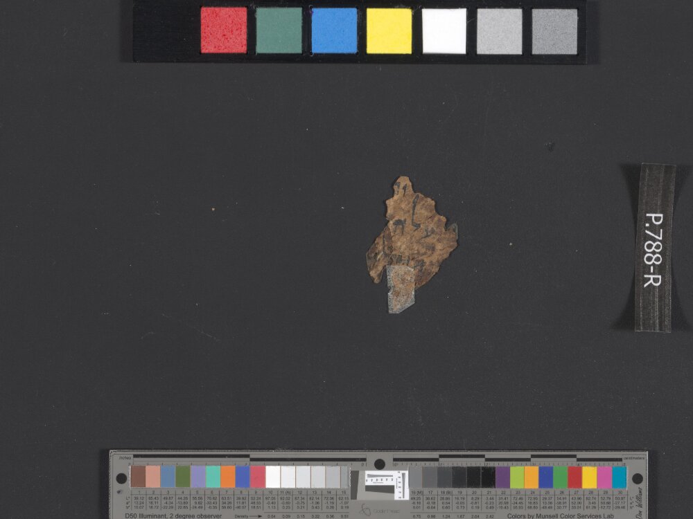 8QPs (Scan 5) showing Psalms 16:8 from Late 1st Century BC – Mid-1st Century AD found in Qumran, Cave 8, currently housed at Israel Antiquities Authority, Jerusalem