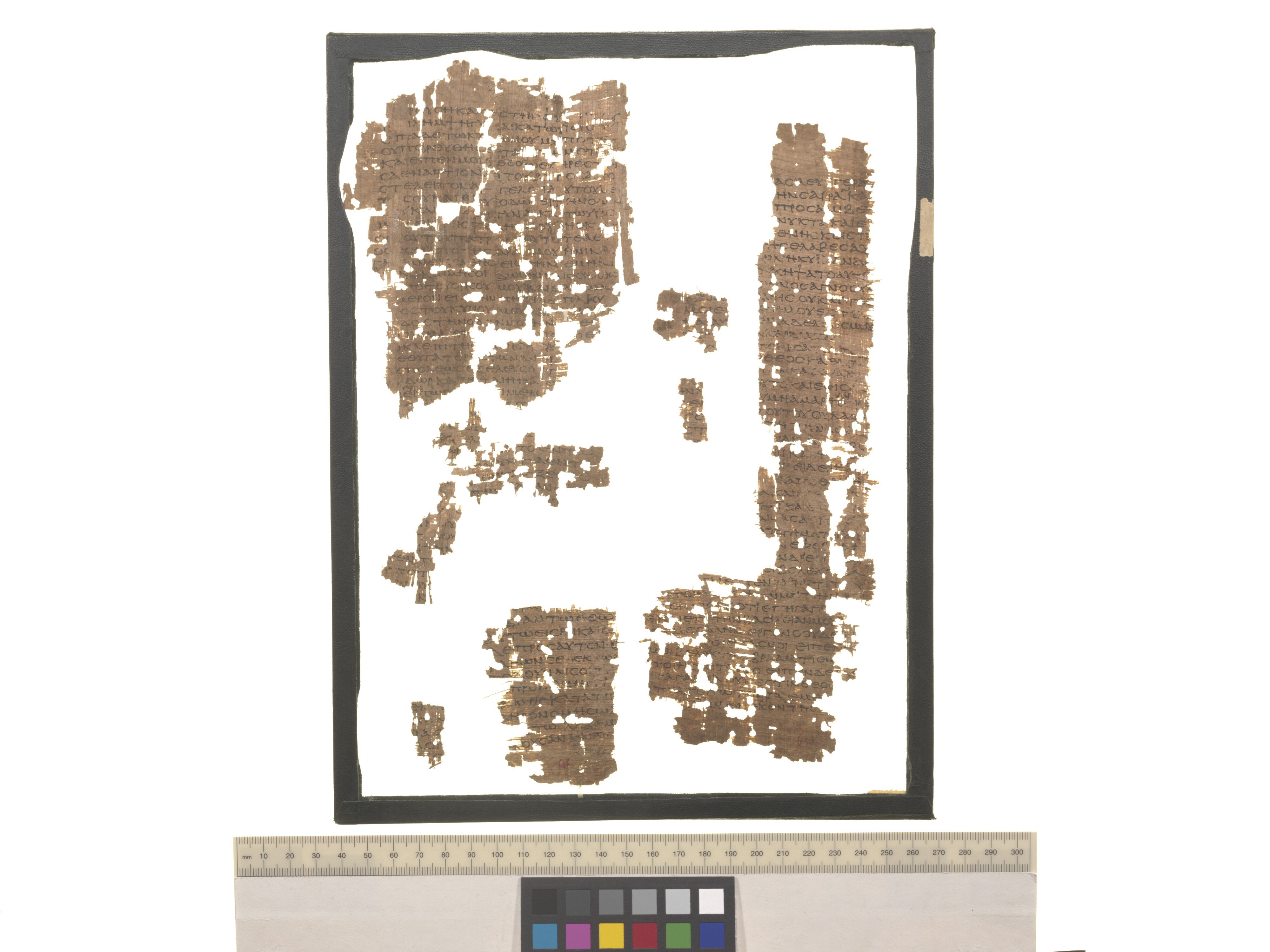 Papyrus Oxyrhynchus 656 (Scan 1) showing Genesis 14:21 from Late 2nd Century - Early 3rd Century AD found in Oxyrhynchus, Egypt, currently housed at University of Oxford, Oxford
