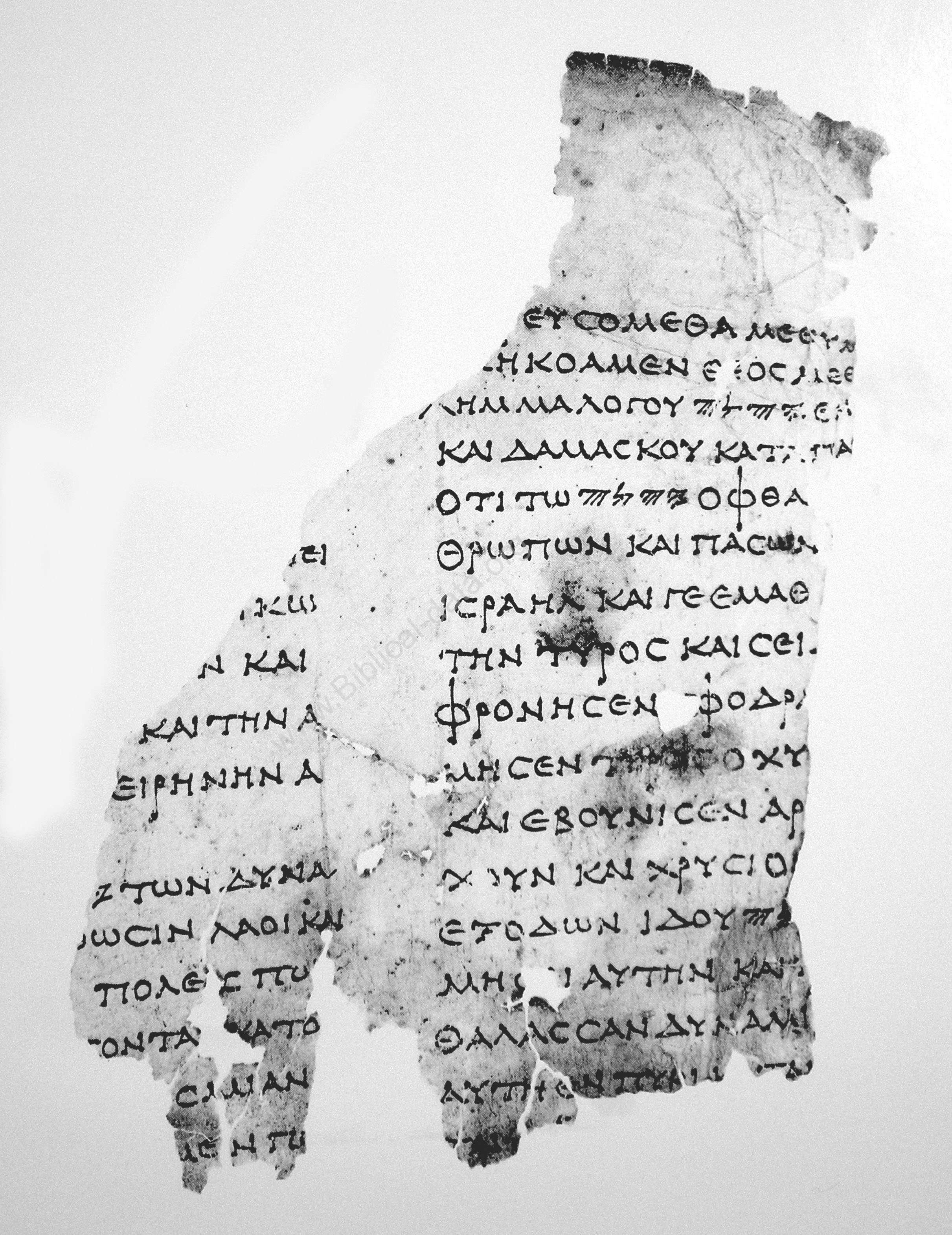 8HevXII b (Greek Minor Prophets Scroll) showing Zechariah 9:2 from Mid-1st Century BC - Mid-1st Century AD found in Nahal Hever, Cave 8, currently housed at Israel Antiquities Authority, Jerusalem