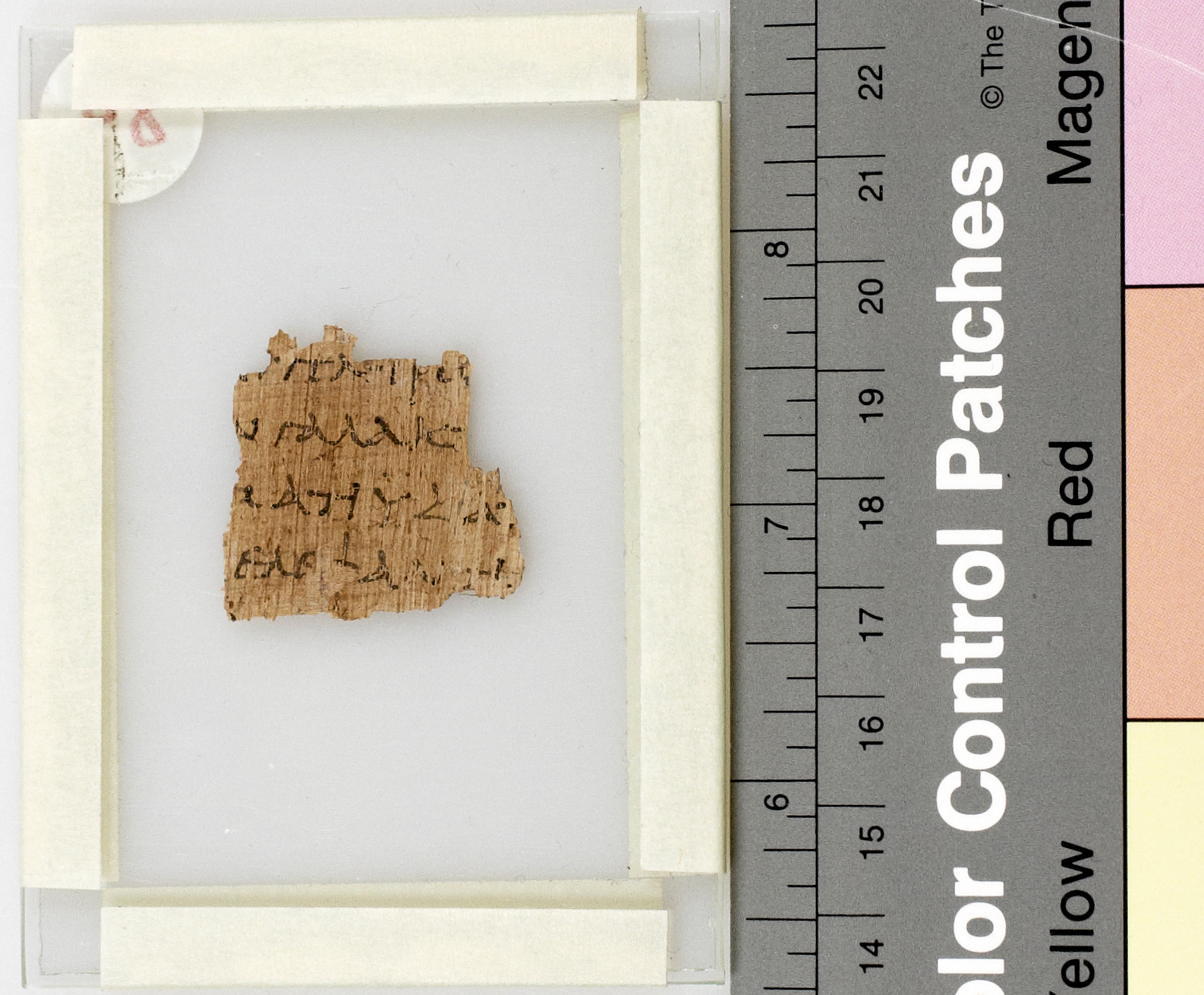 Papyrus Montserrat Roca 84 showing Song of Solomon 6:5 from Late 3rd Century – Early 4th Century AD found in Egypt, currently housed at Abbey of Montserrat, Barcelona