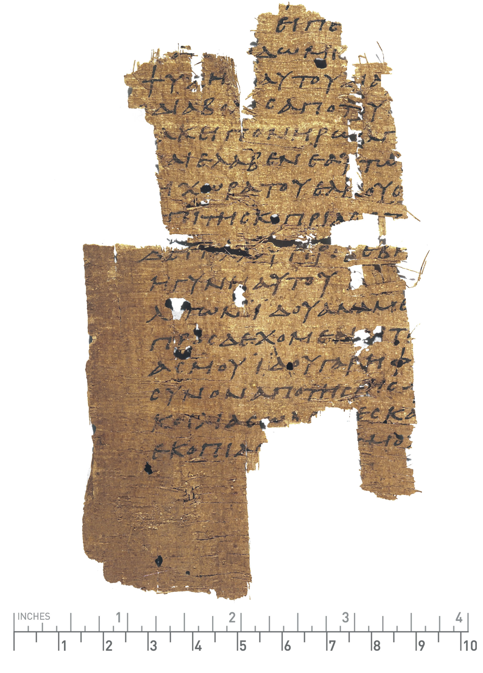 PSI 1163 showing Job 2:7 from 4th Century AD found in Egypt, currently housed at Laurentian Library, Florence, Italy
