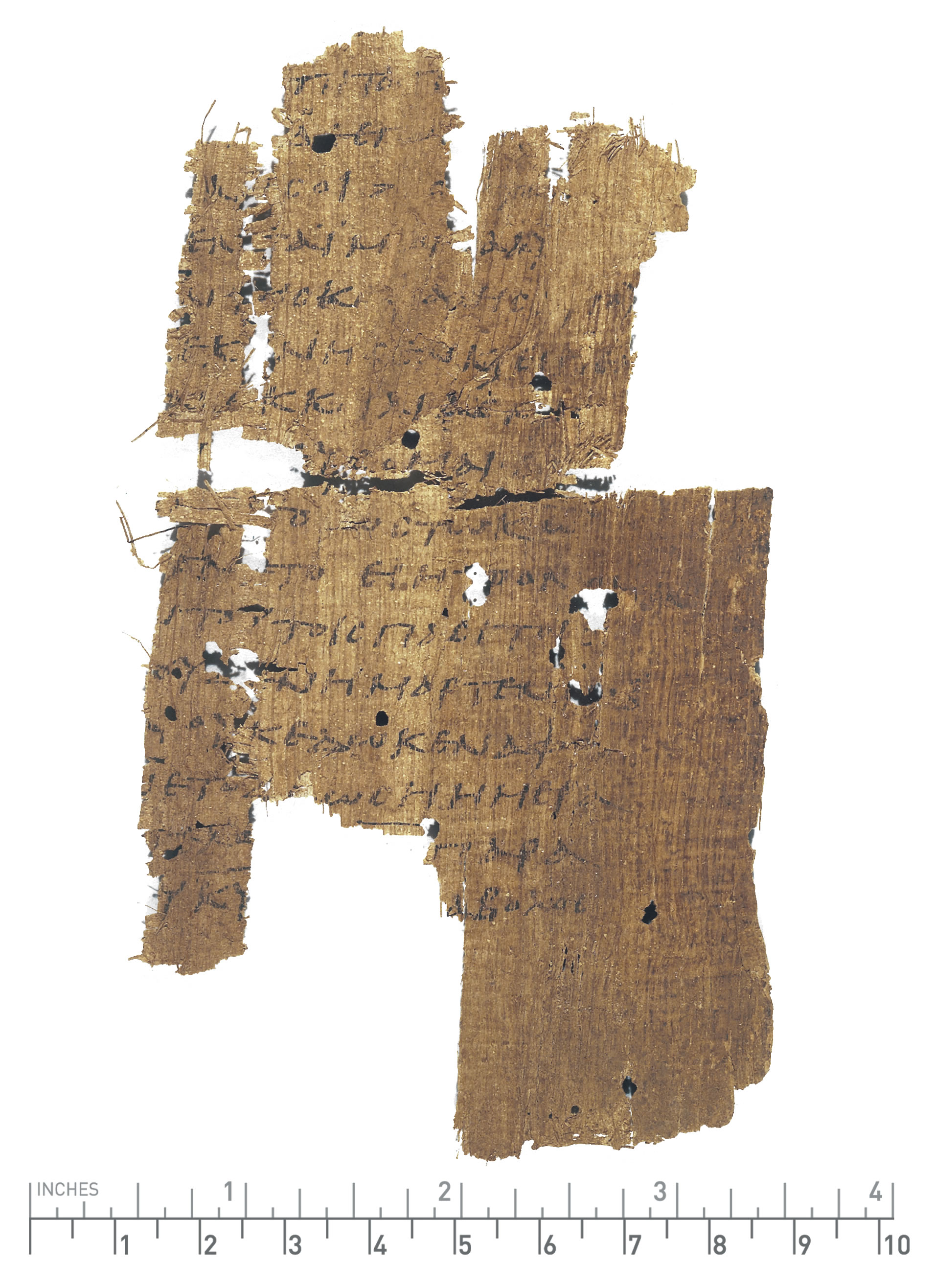 PSI 1163 showing Job 1:21 from 4th Century AD found in Egypt, currently housed at Laurentian Library, Florence, Italy