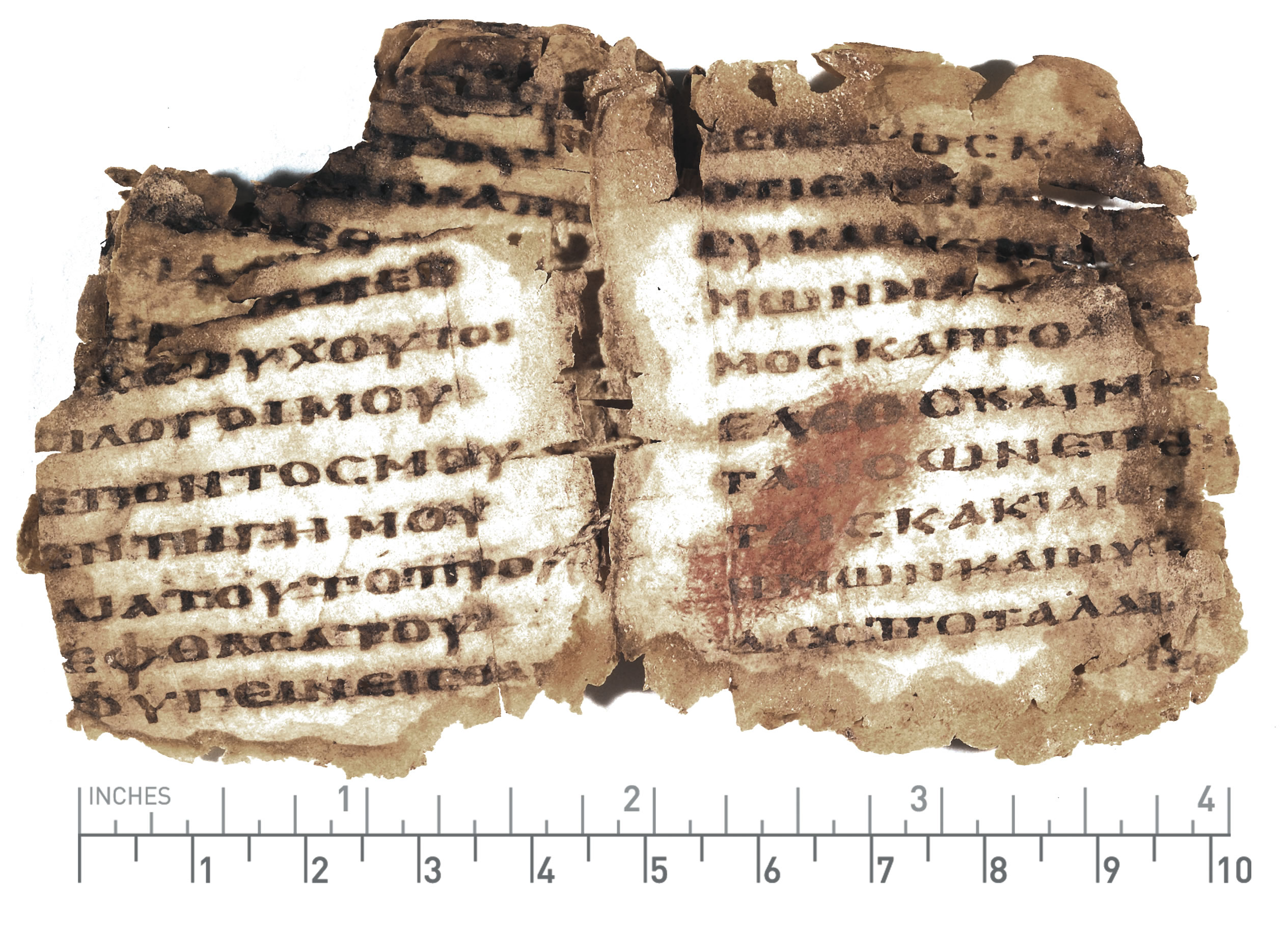 Papyrus 956 (PSI X 1164 / P. Berol. 16354) showing Jonah 1:13 from 4th Century AD, currently housed at Laurentian Library, Florence & Ägyptisches Museum, Berlin