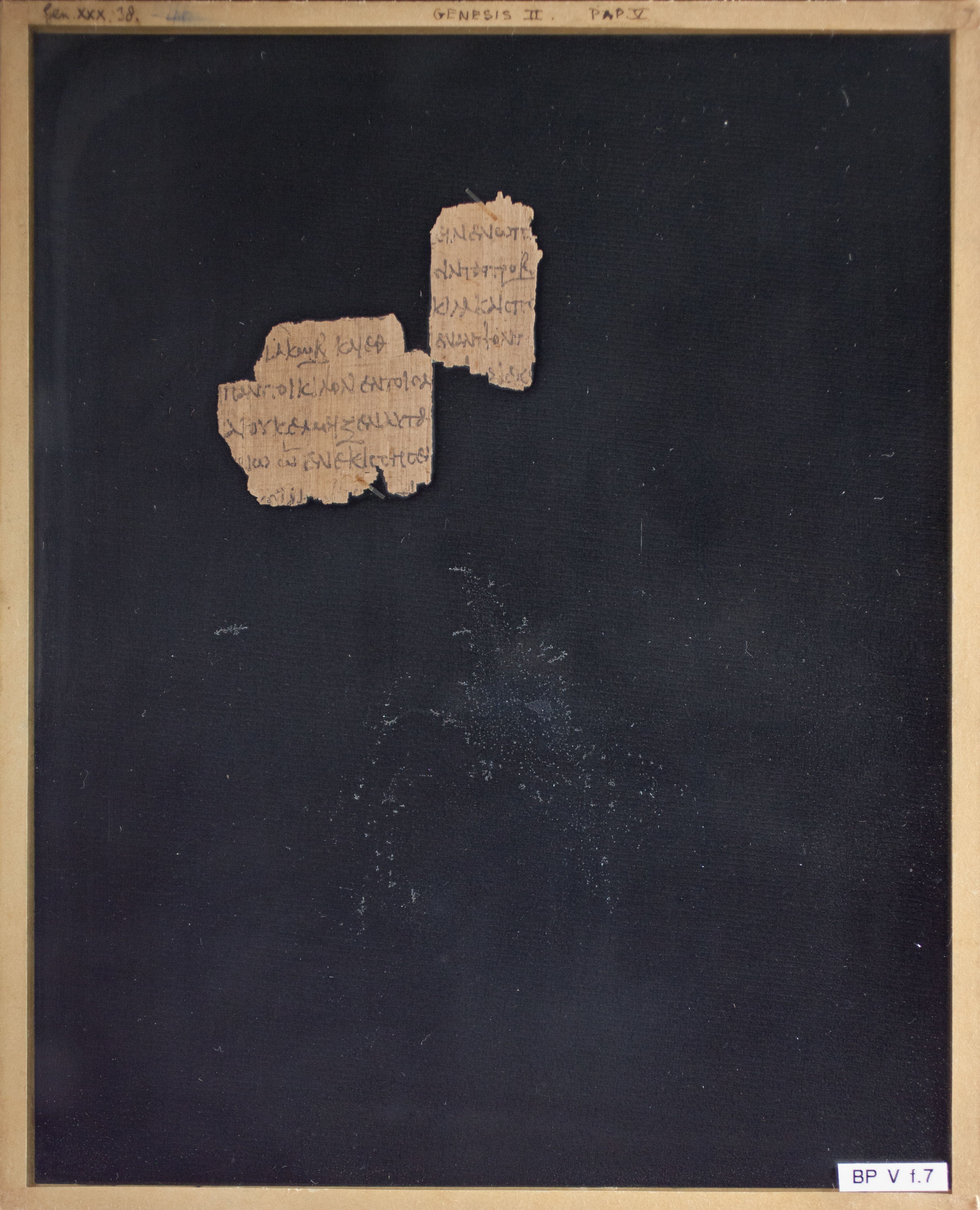 Papyrus Chester Beatty V showing Genesis 30:39 from 3rd Century AD found in Egypt, currently housed at Chester Beatty Library, Dublin