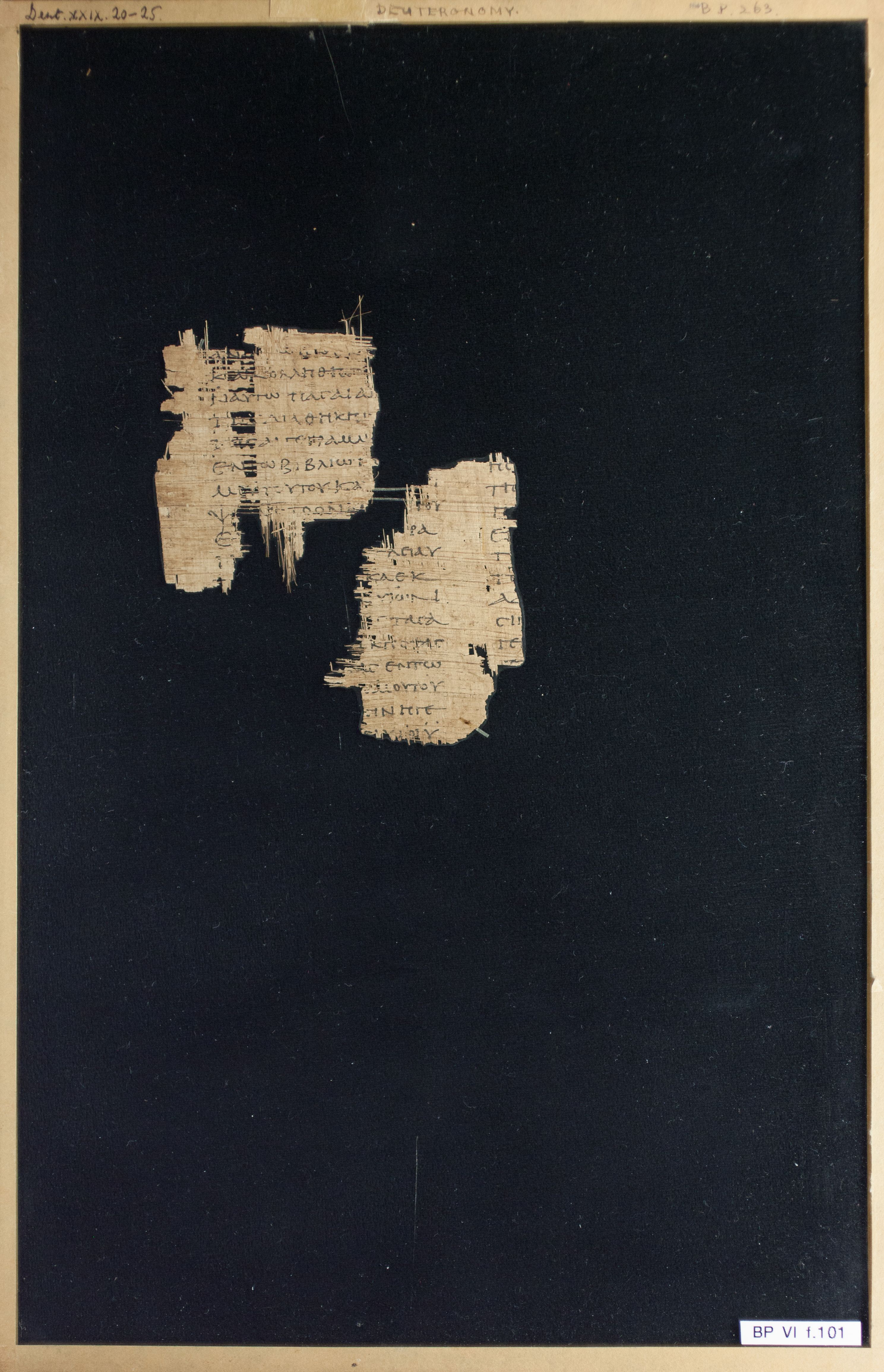 Papyrus Chester Beatty VI (Scan 2) showing Deuteronomy 29:21 from Mid-2nd Century AD - Mid-3rd Century AD found in Aphroditopolis (Atfih), Egypt, currently housed at Chester Beatty Library, Dublin & University of Michigan, Ann Arbor