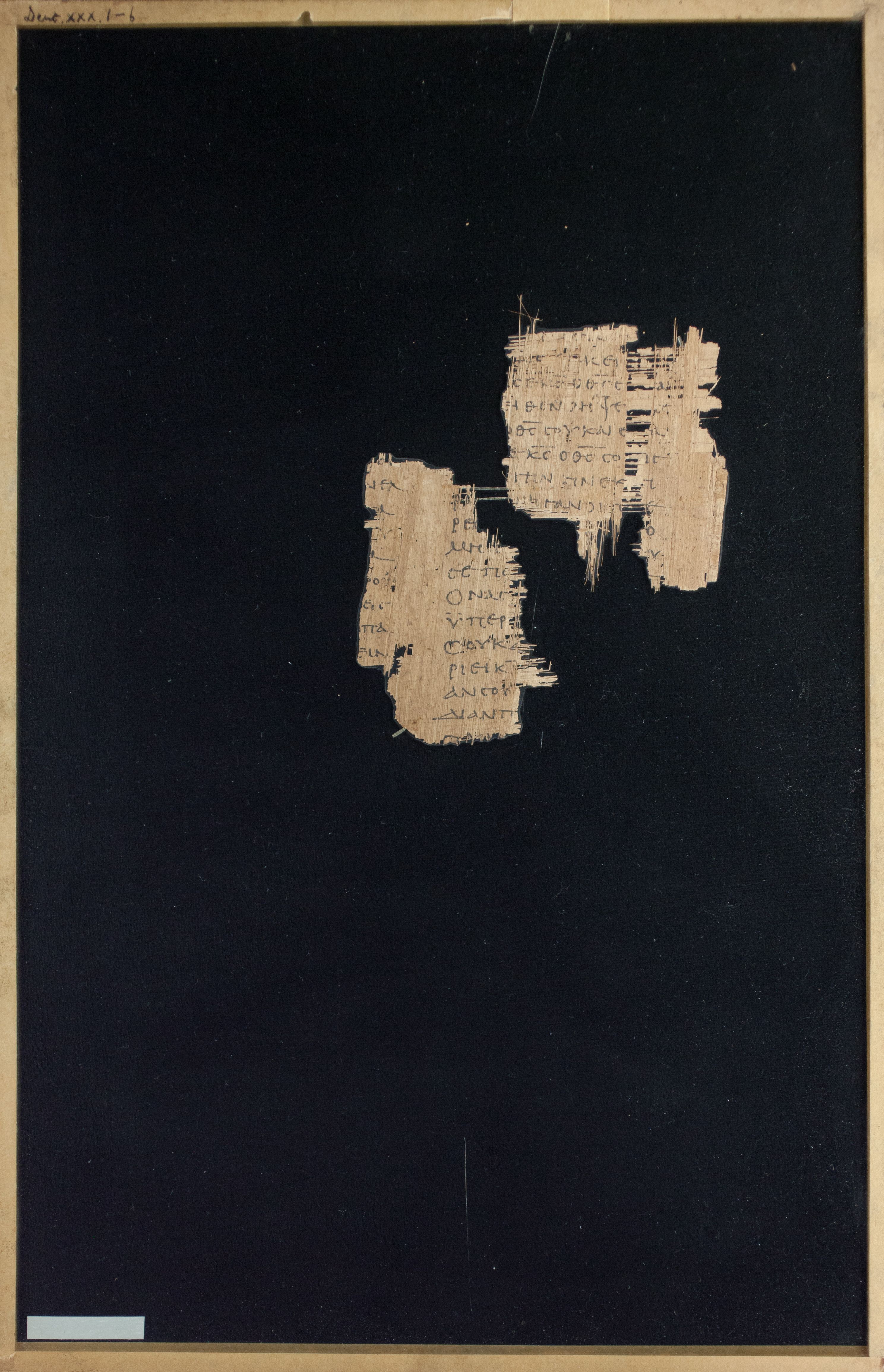 Papyrus Chester Beatty VI showing Deuteronomy 30:2 from Mid-2nd Century AD - Mid-3rd Century AD found in Aphroditopolis (Atfih), Egypt, currently housed at Chester Beatty Library, Dublin & University of Michigan, Ann Arbor