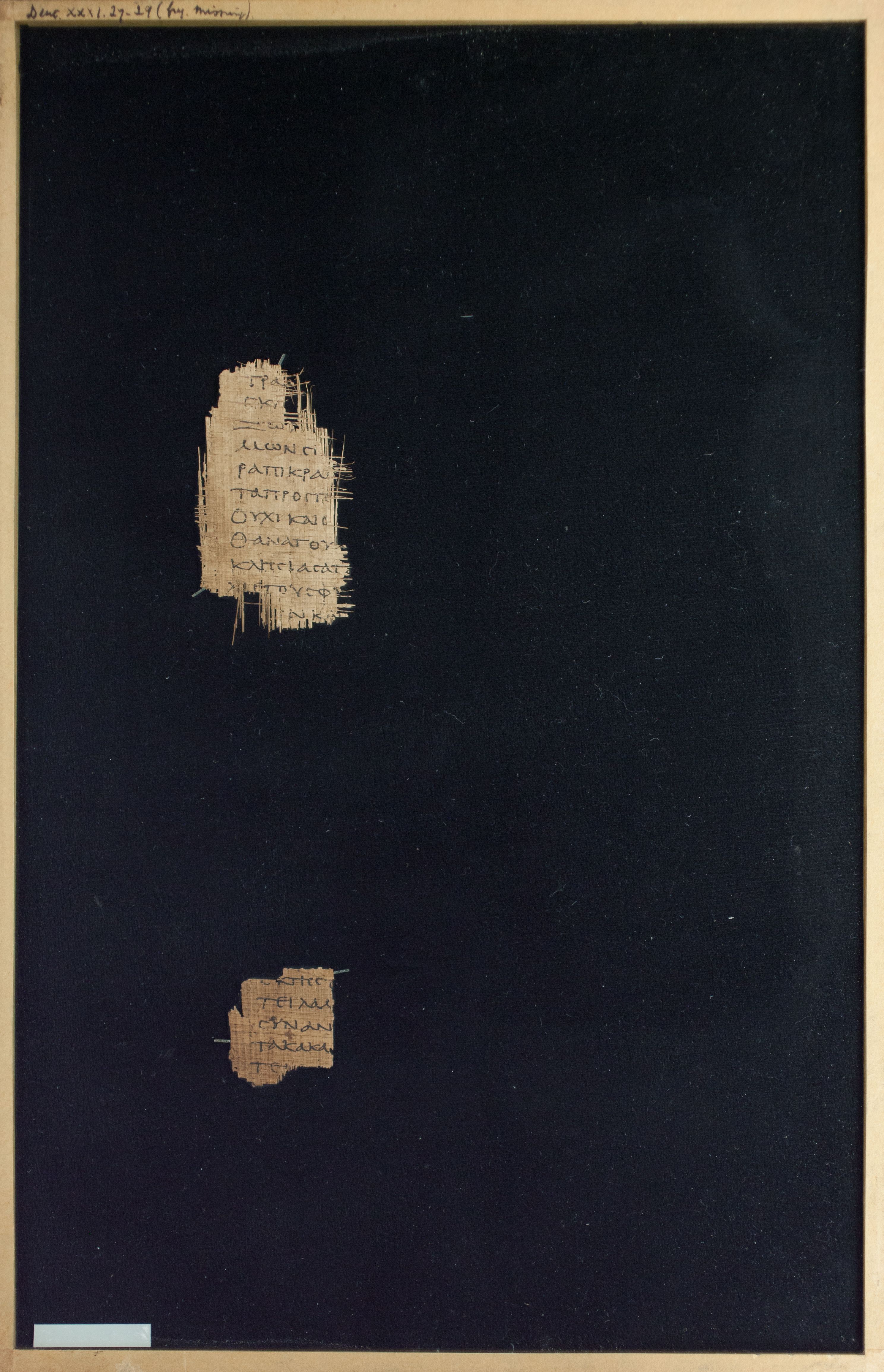 Papyrus Chester Beatty VI showing Deuteronomy 31:28 from Mid-2nd Century AD - Mid-3rd Century AD found in Aphroditopolis (Atfih), Egypt, currently housed at Chester Beatty Library, Dublin & University of Michigan, Ann Arbor