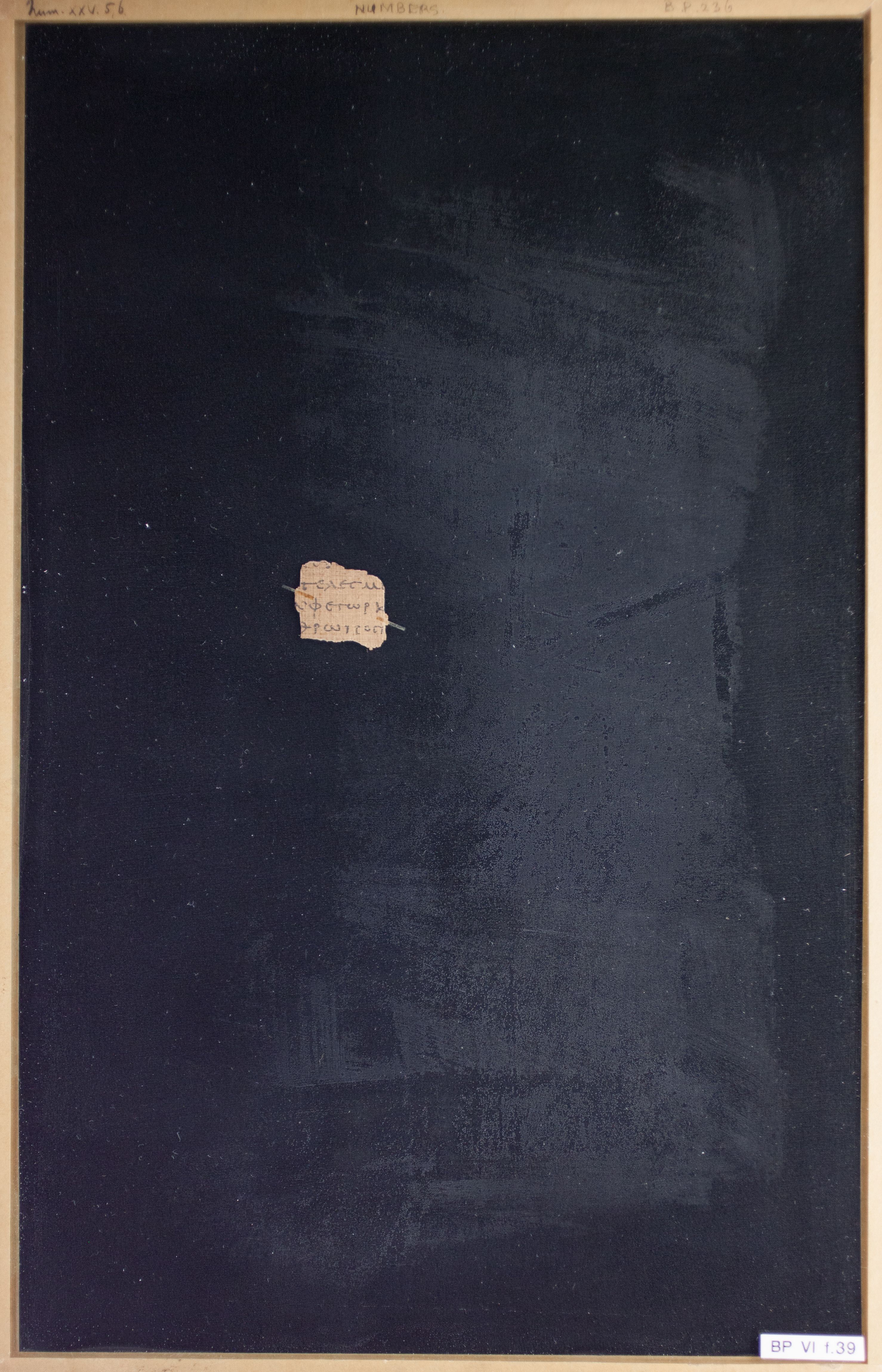 Papyrus Chester Beatty VI (Scan 1) showing Numbers 25:5 from Mid-2nd Century AD - Mid-3rd Century AD found in Aphroditopolis (Atfih), Egypt, currently housed at Chester Beatty Library, Dublin & University of Michigan, Ann Arbor