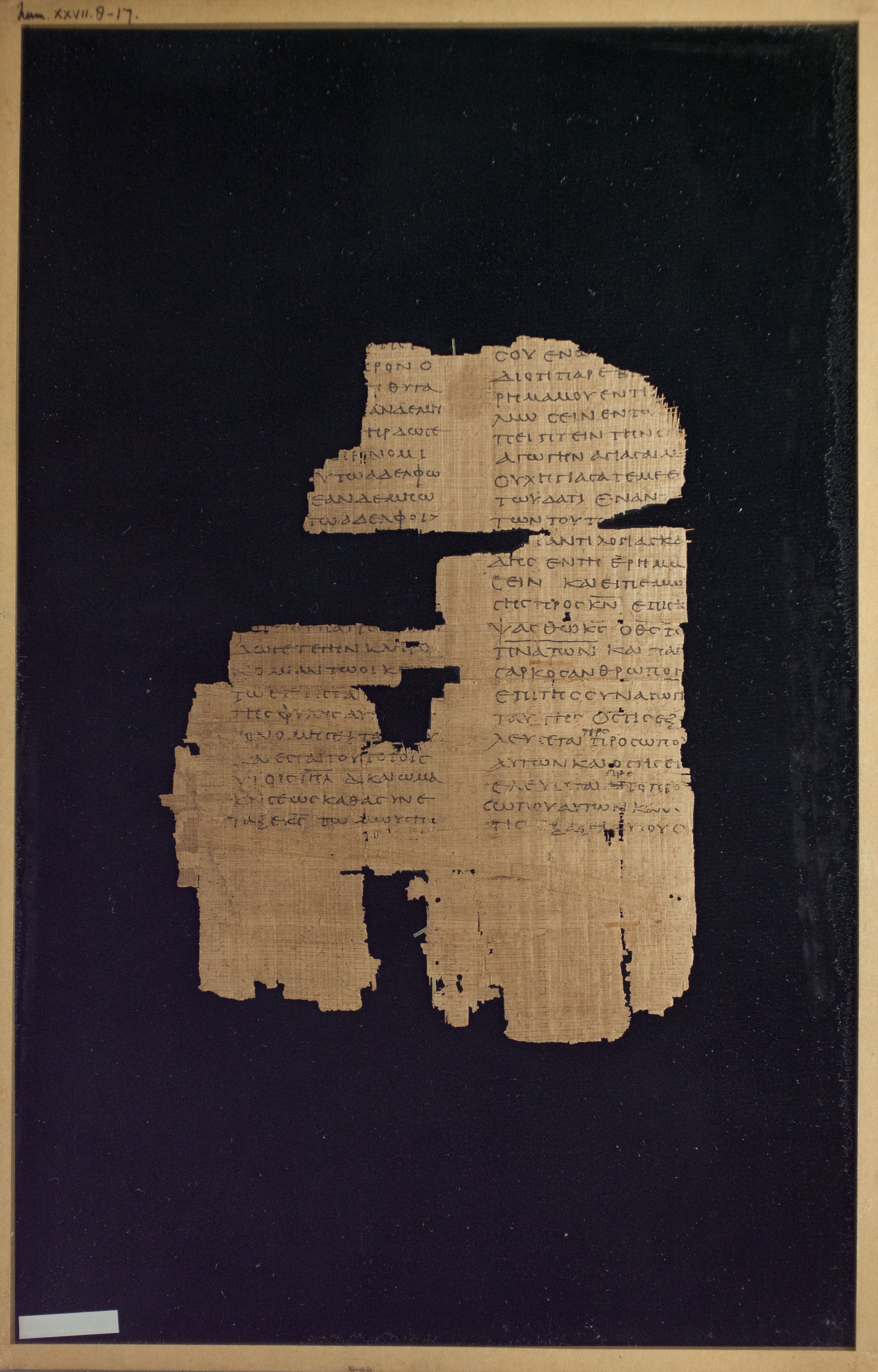 Papyrus Chester Beatty VI showing Numbers 27:8 from Mid-2nd Century AD - Mid-3rd Century AD found in Aphroditopolis (Atfih), Egypt, currently housed at Chester Beatty Library, Dublin & University of Michigan, Ann Arbor