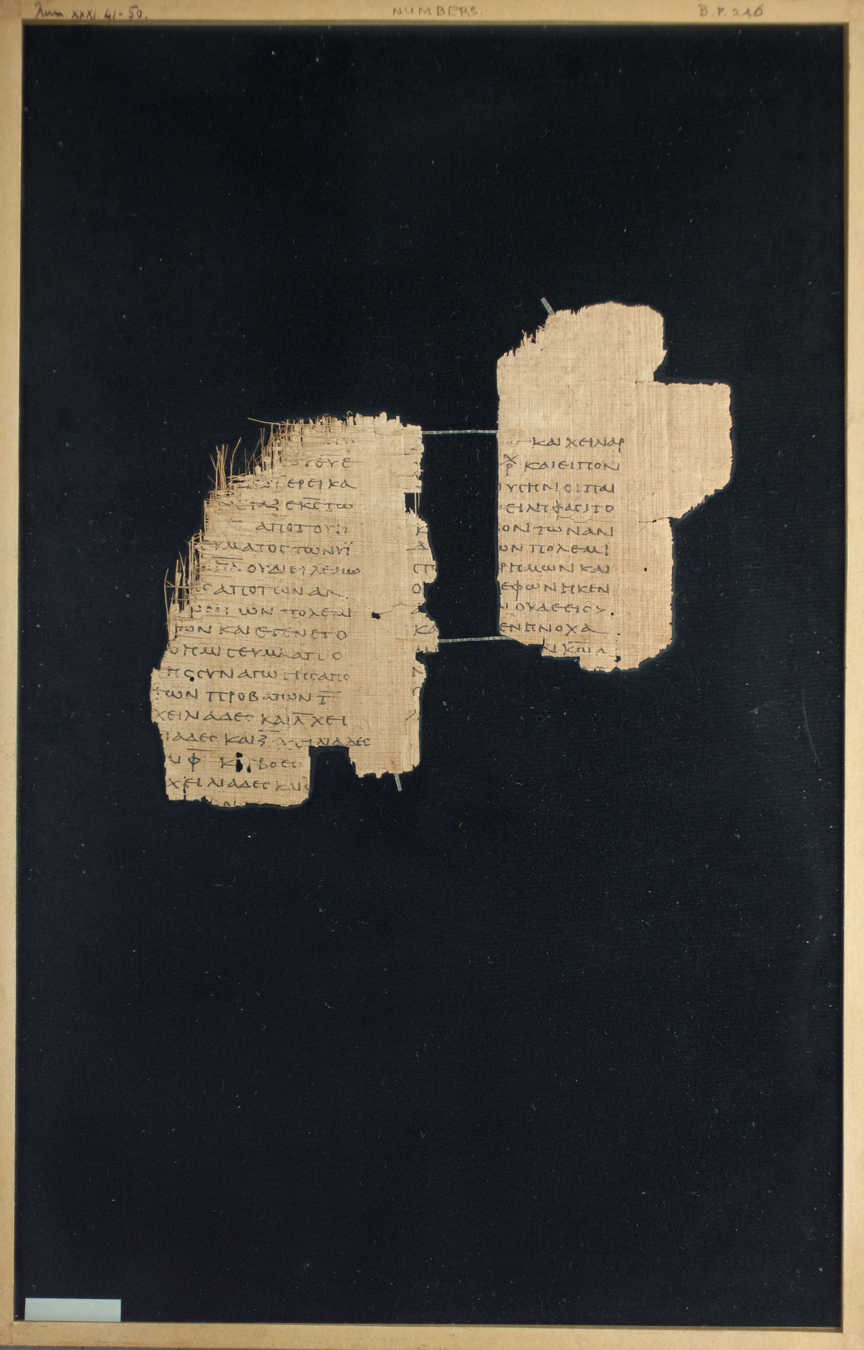 Papyrus Chester Beatty VI showing Numbers 31:47 from Mid-2nd Century AD - Mid-3rd Century AD found in Aphroditopolis (Atfih), Egypt, currently housed at Chester Beatty Library, Dublin & University of Michigan, Ann Arbor