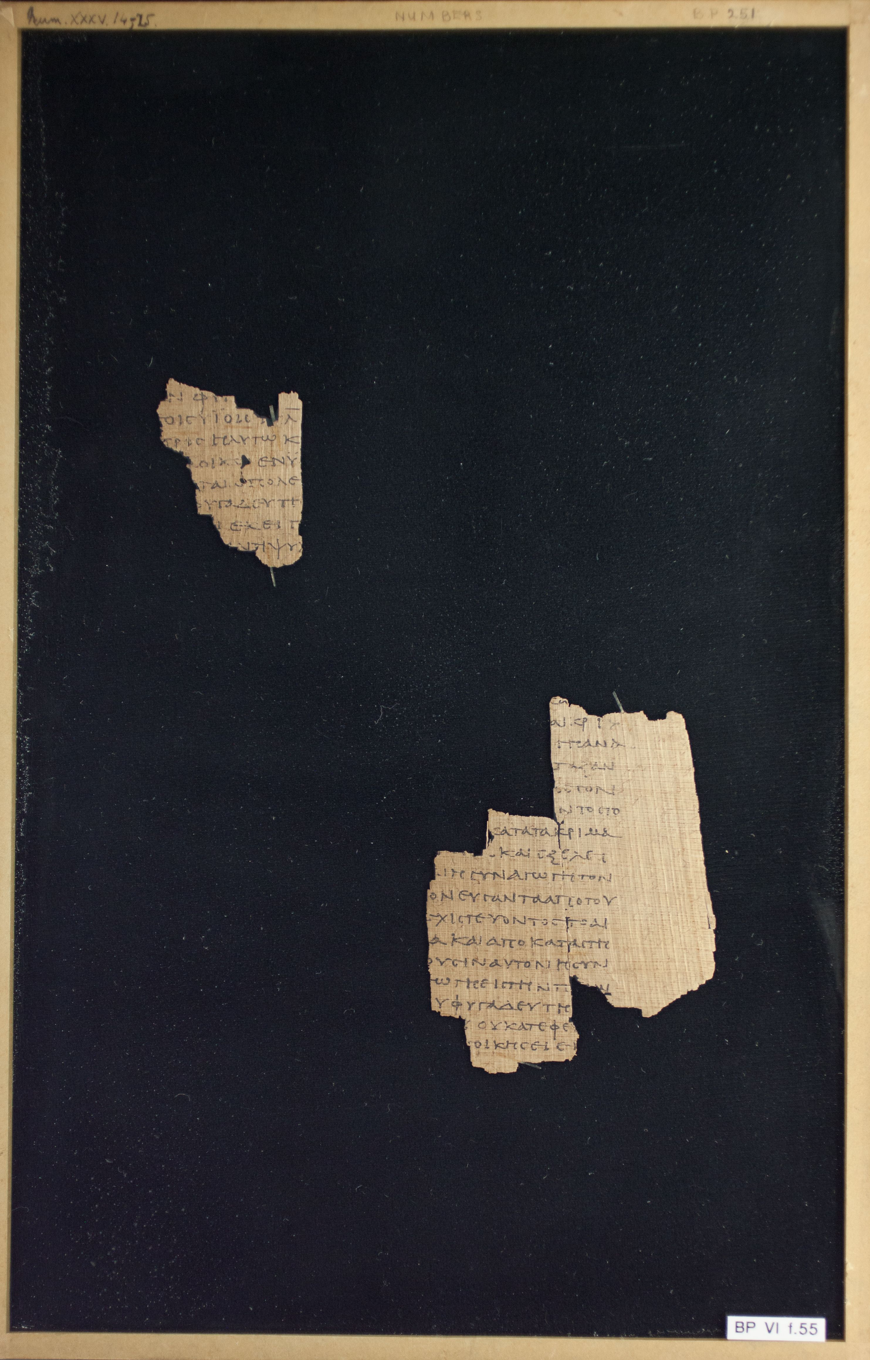 Papyrus Chester Beatty VI showing Numbers 35:21 from Mid-2nd Century AD - Mid-3rd Century AD found in Aphroditopolis (Atfih), Egypt, currently housed at Chester Beatty Library, Dublin & University of Michigan, Ann Arbor